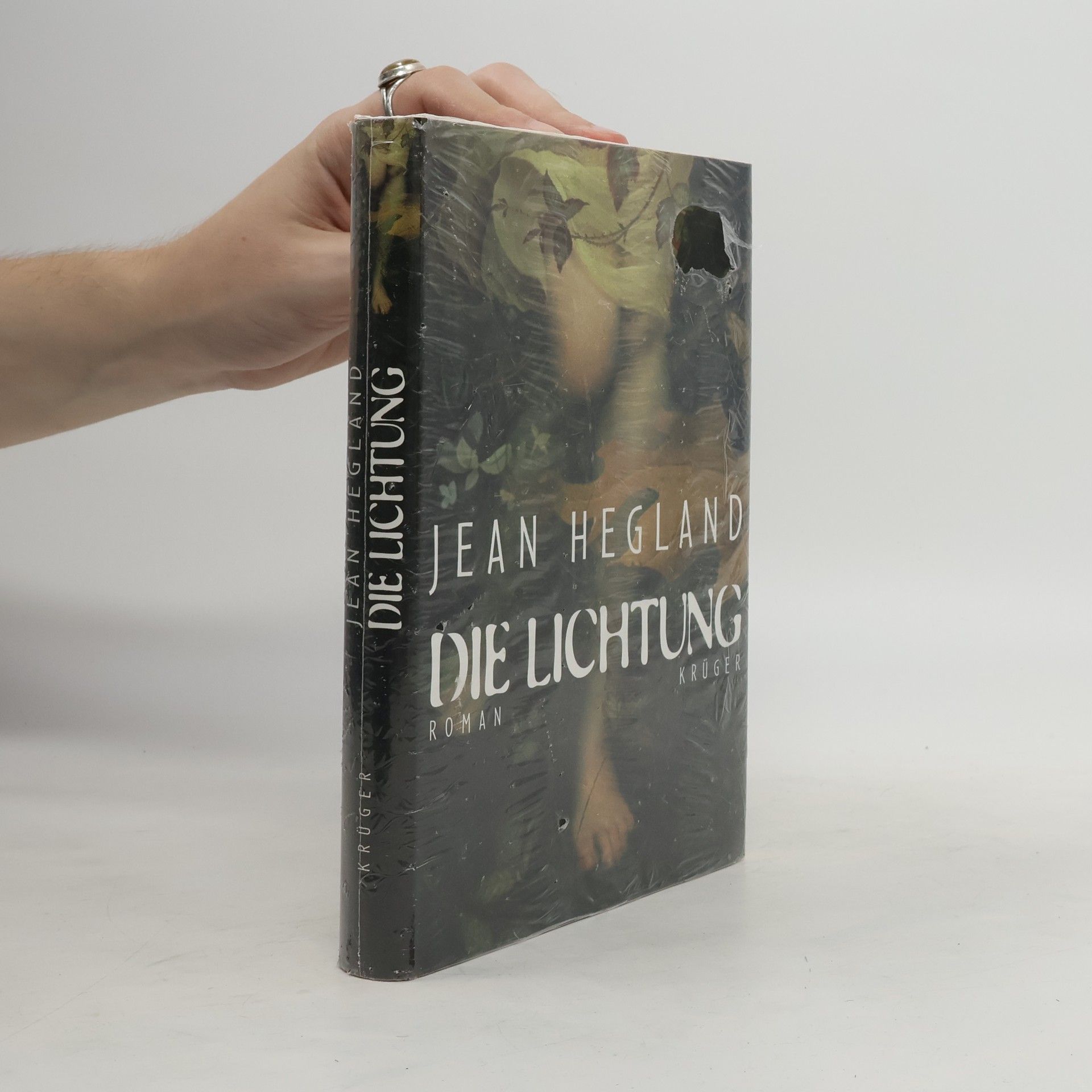 Jean Hegland Die Lichtung