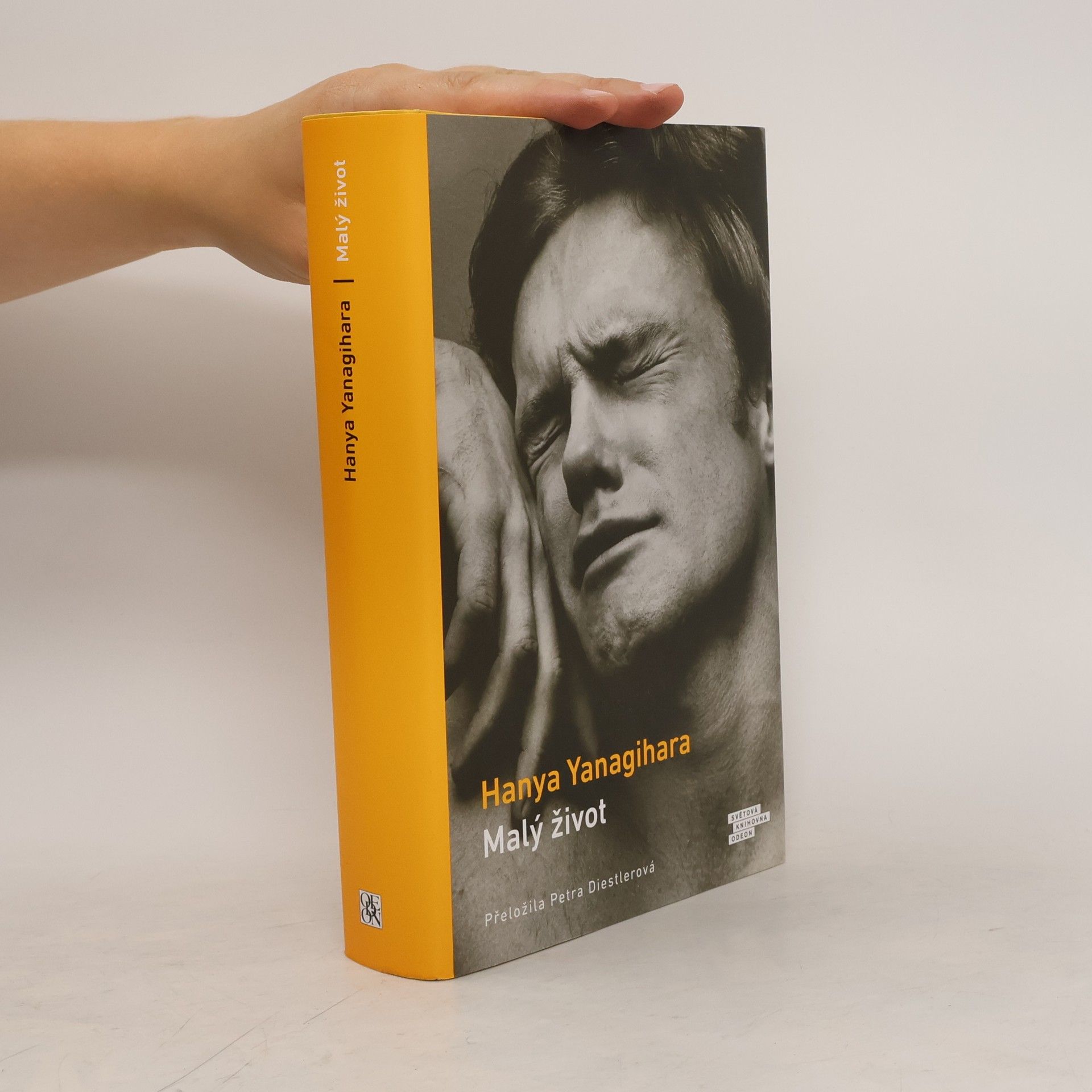 Hanya Yanagihara Malý život