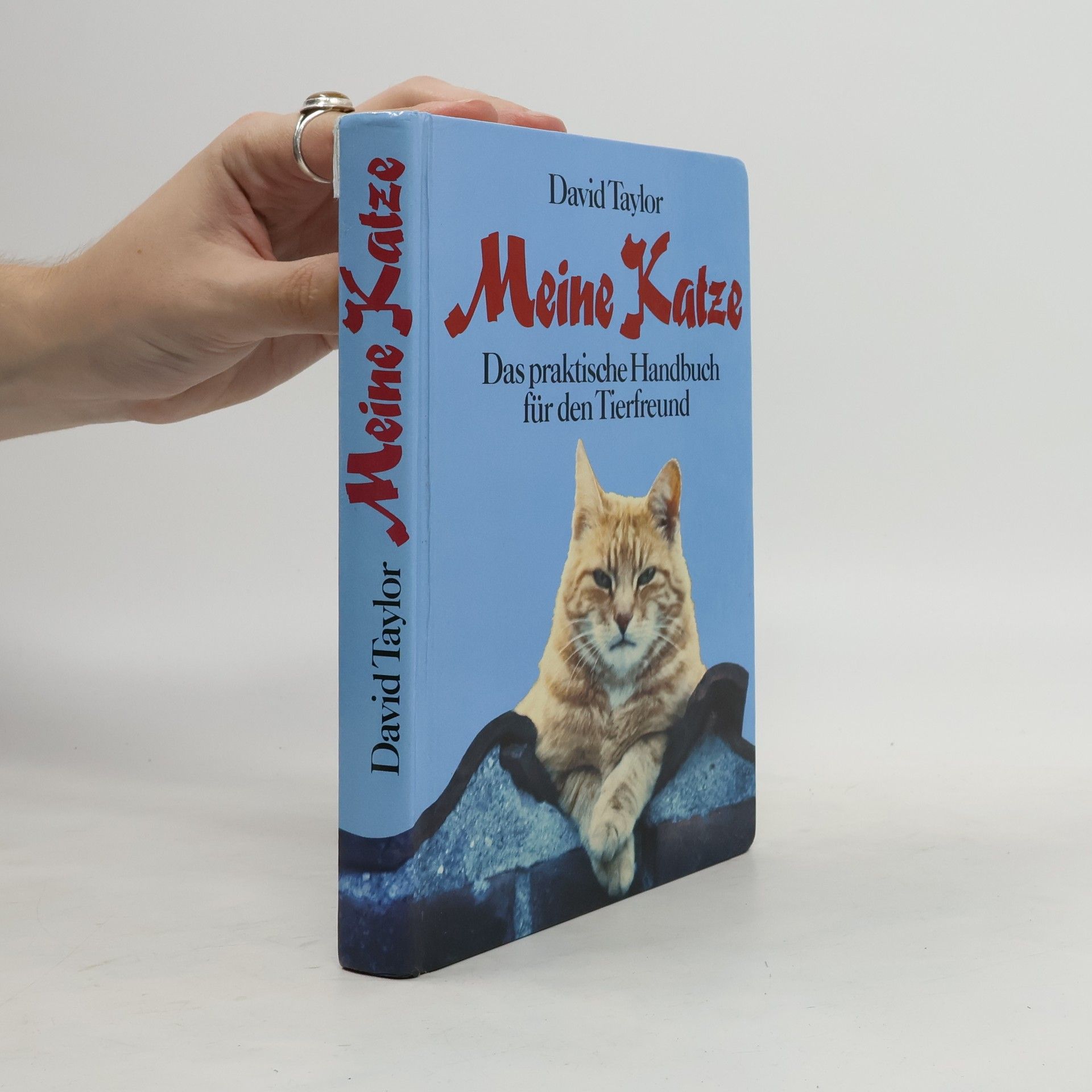 David Taylor Meine Katze