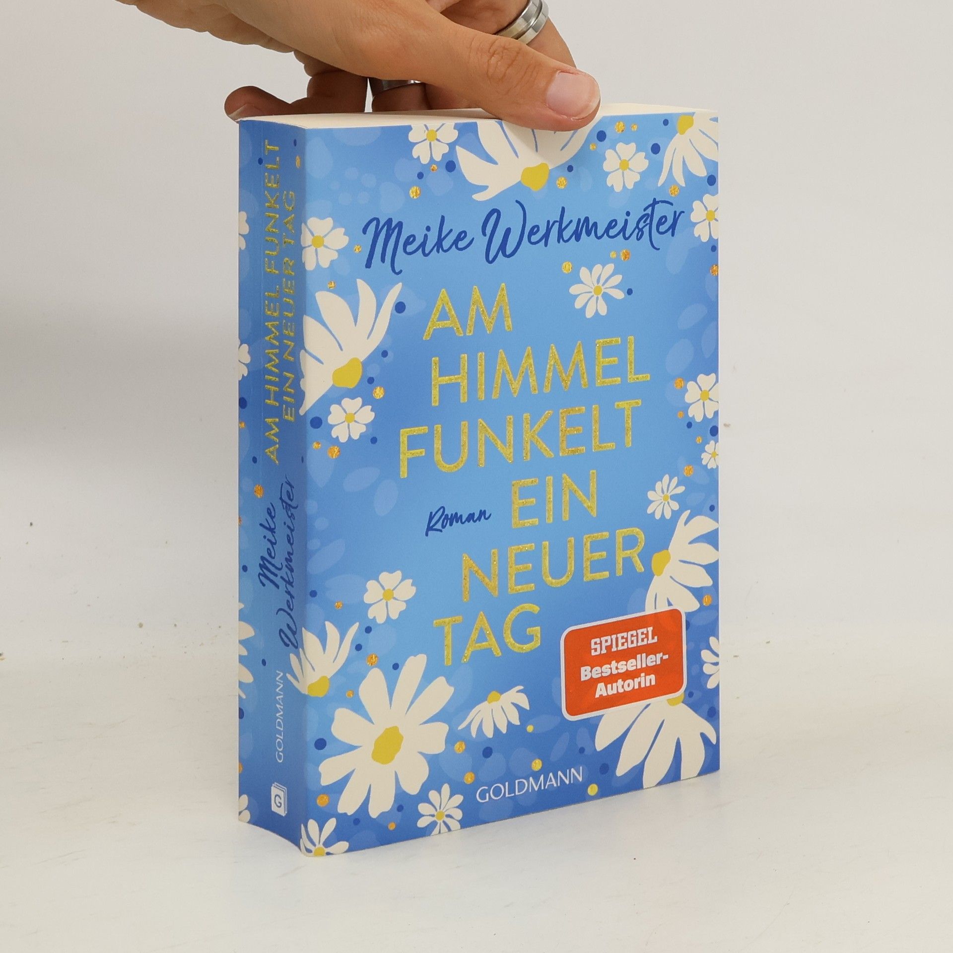 Meike Werkmeister Am Himmel funkelt ein neuer Tag