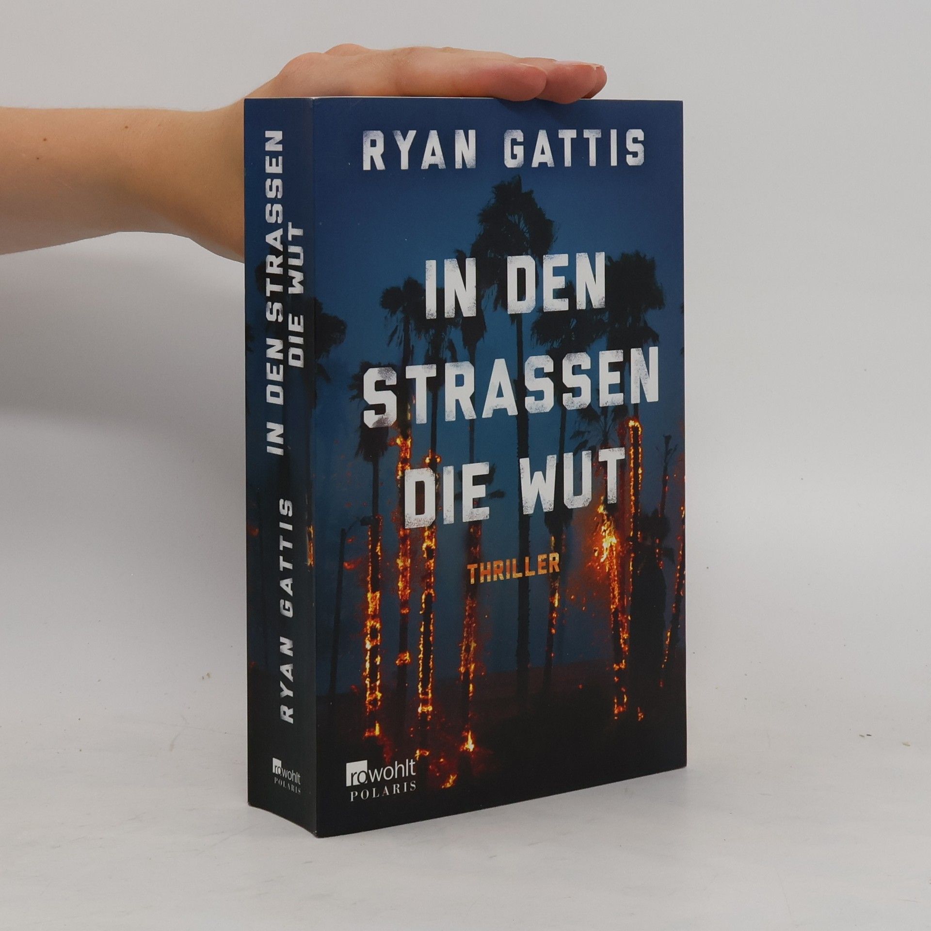 Ryan Gattis In den Strassen die Wut