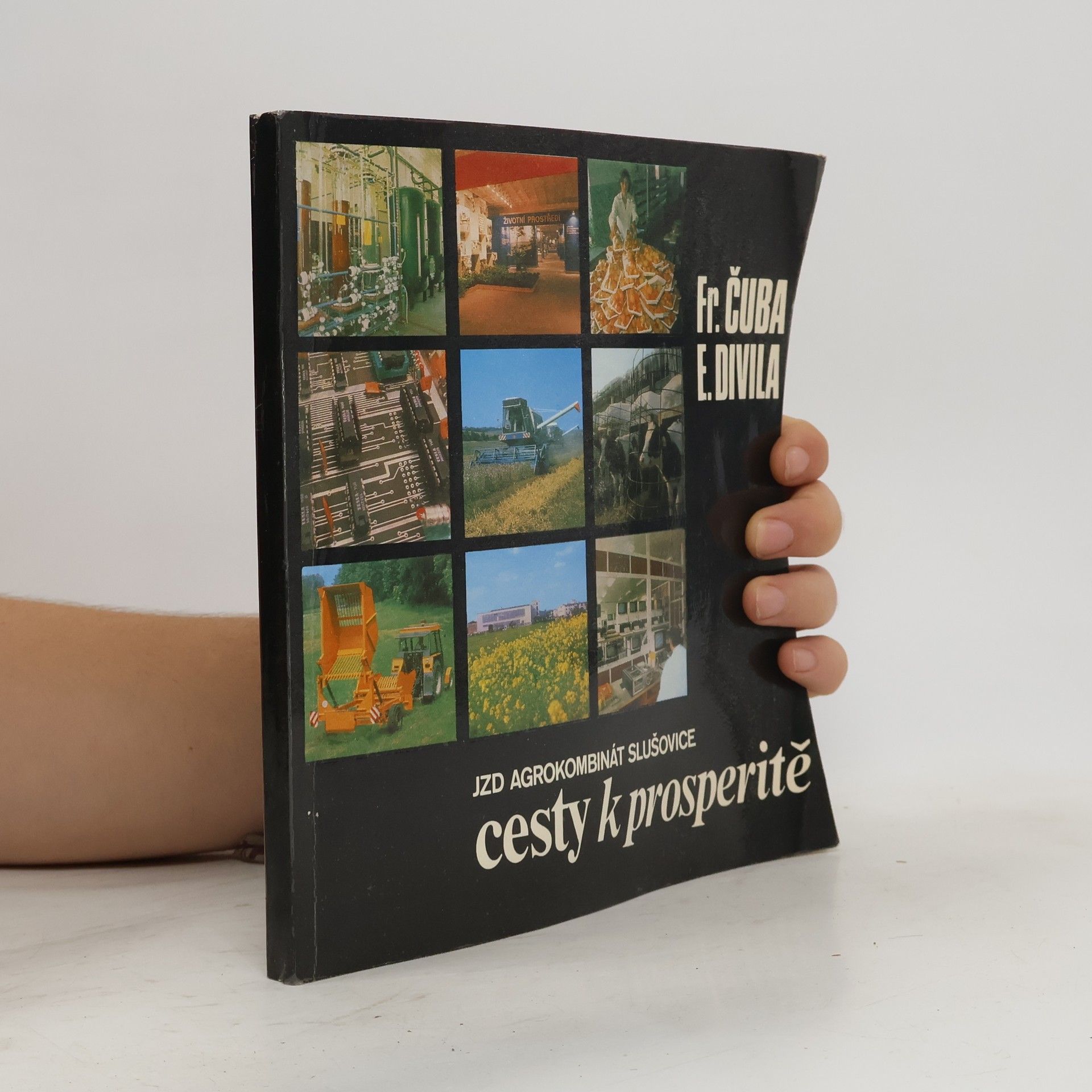 František Čuba Cesty k prosperitě
