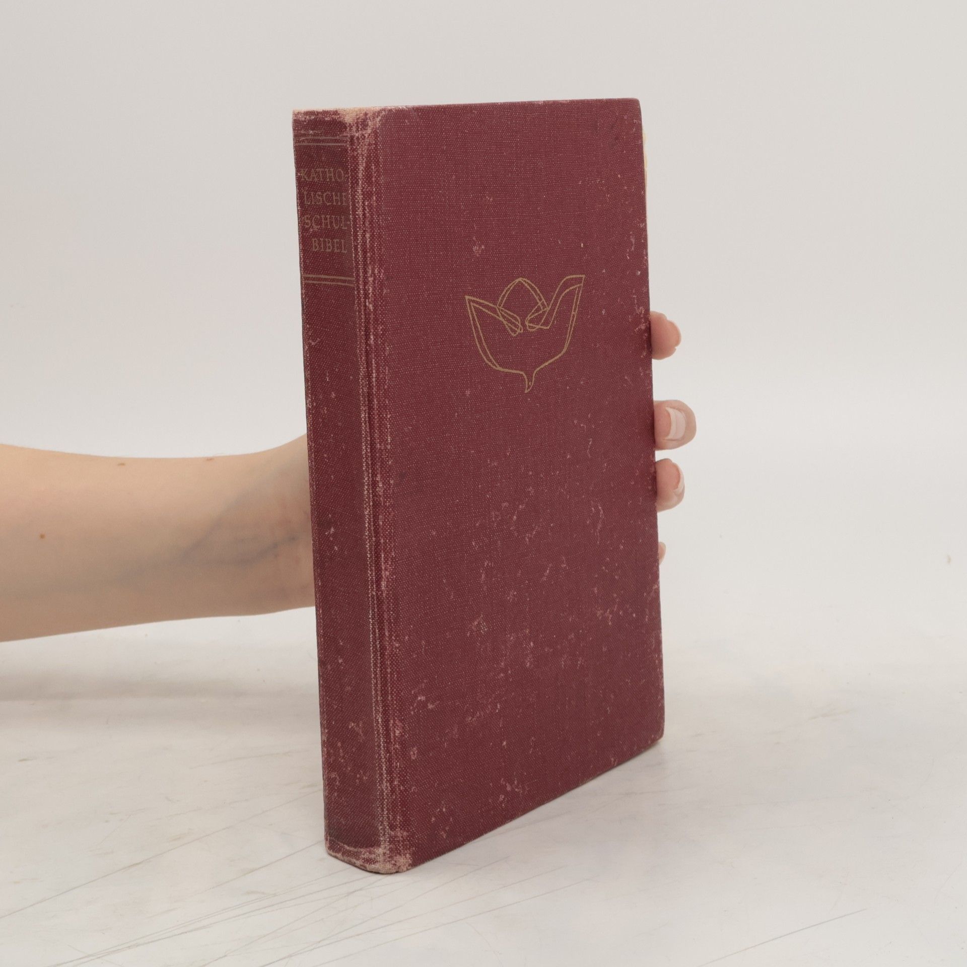 Autorenkollektiv Katholische Schulbibel
