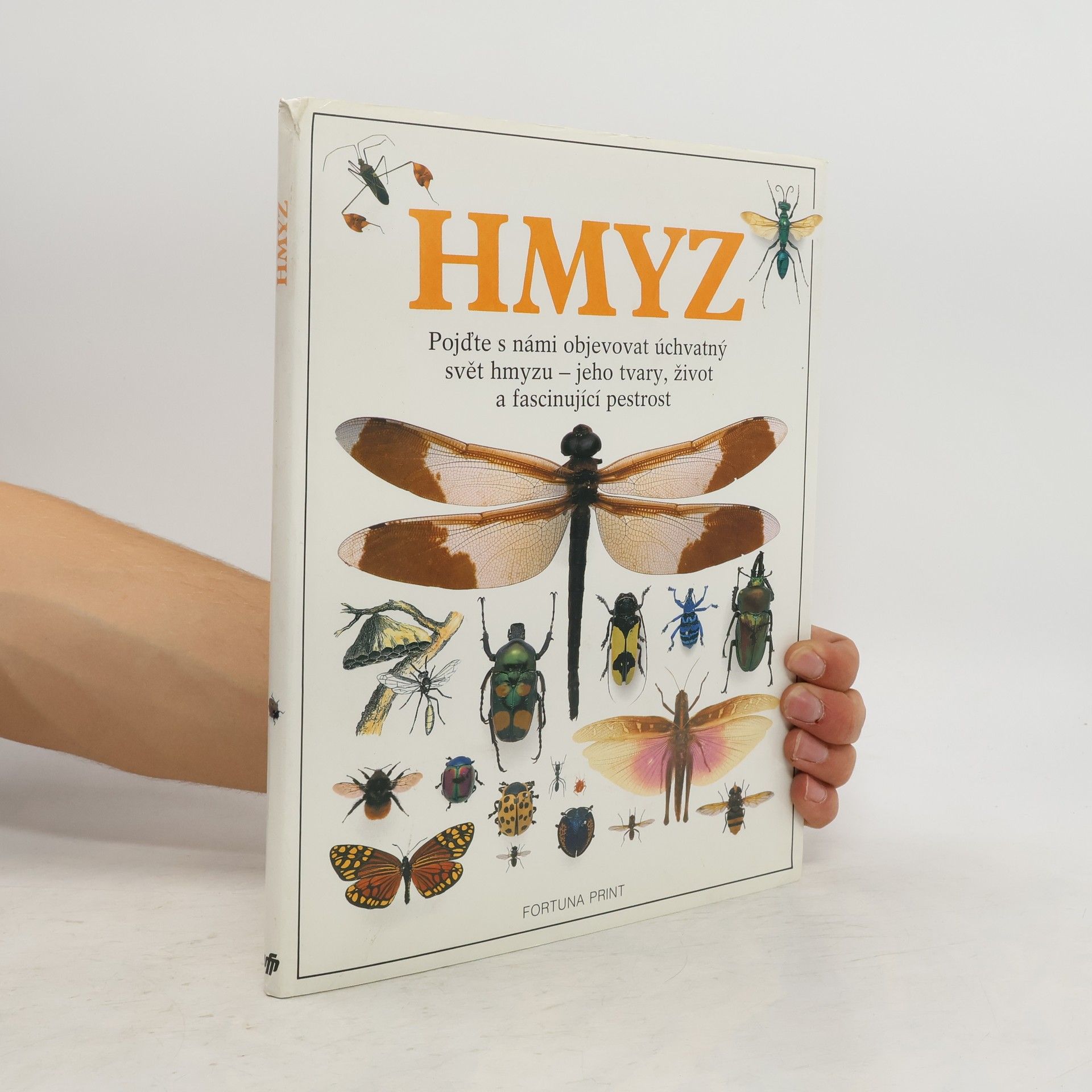 kolektiv Hmyz