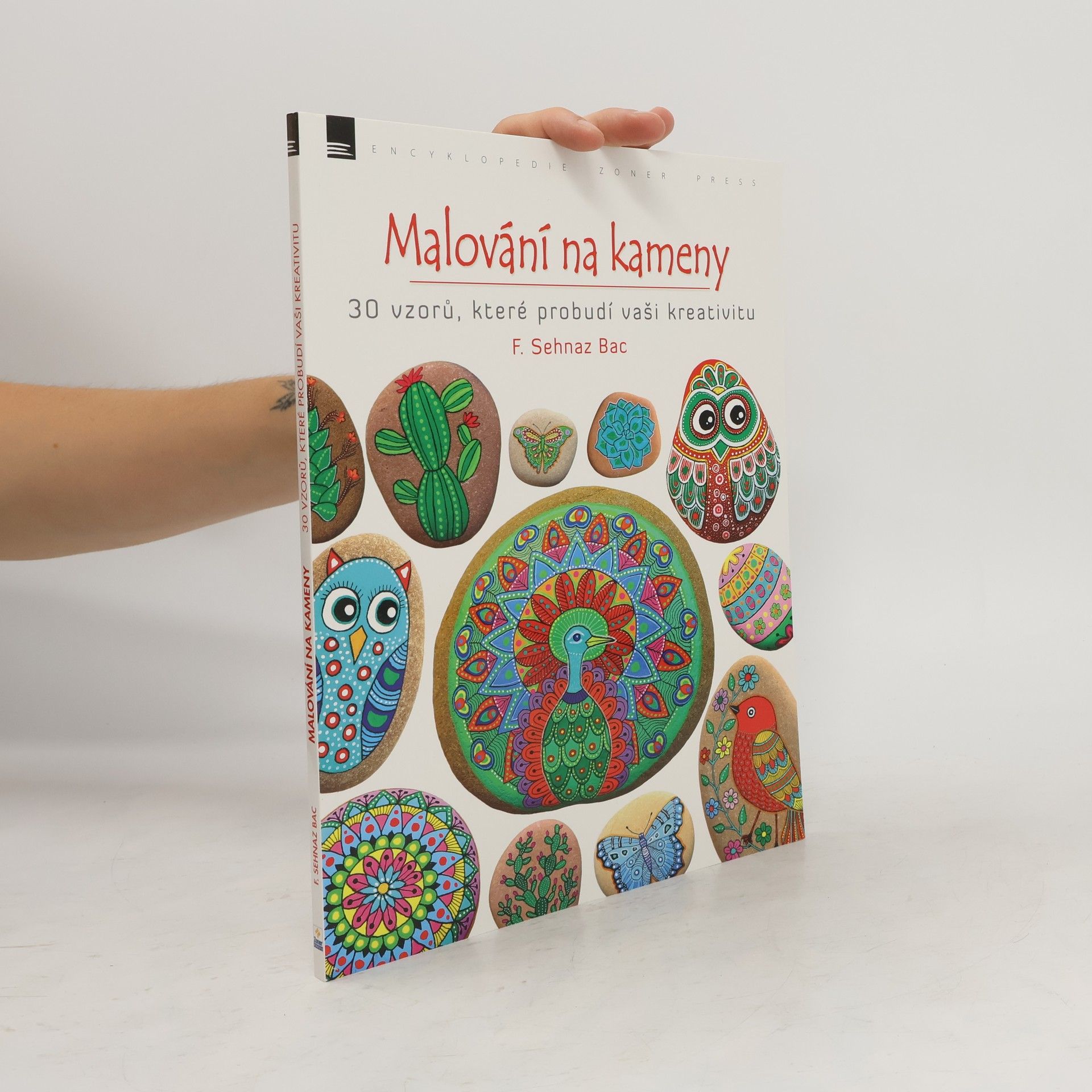 F. Sehnaz Bac Malování na kameny: 30 vzorů, které probudí vaši kreativitu