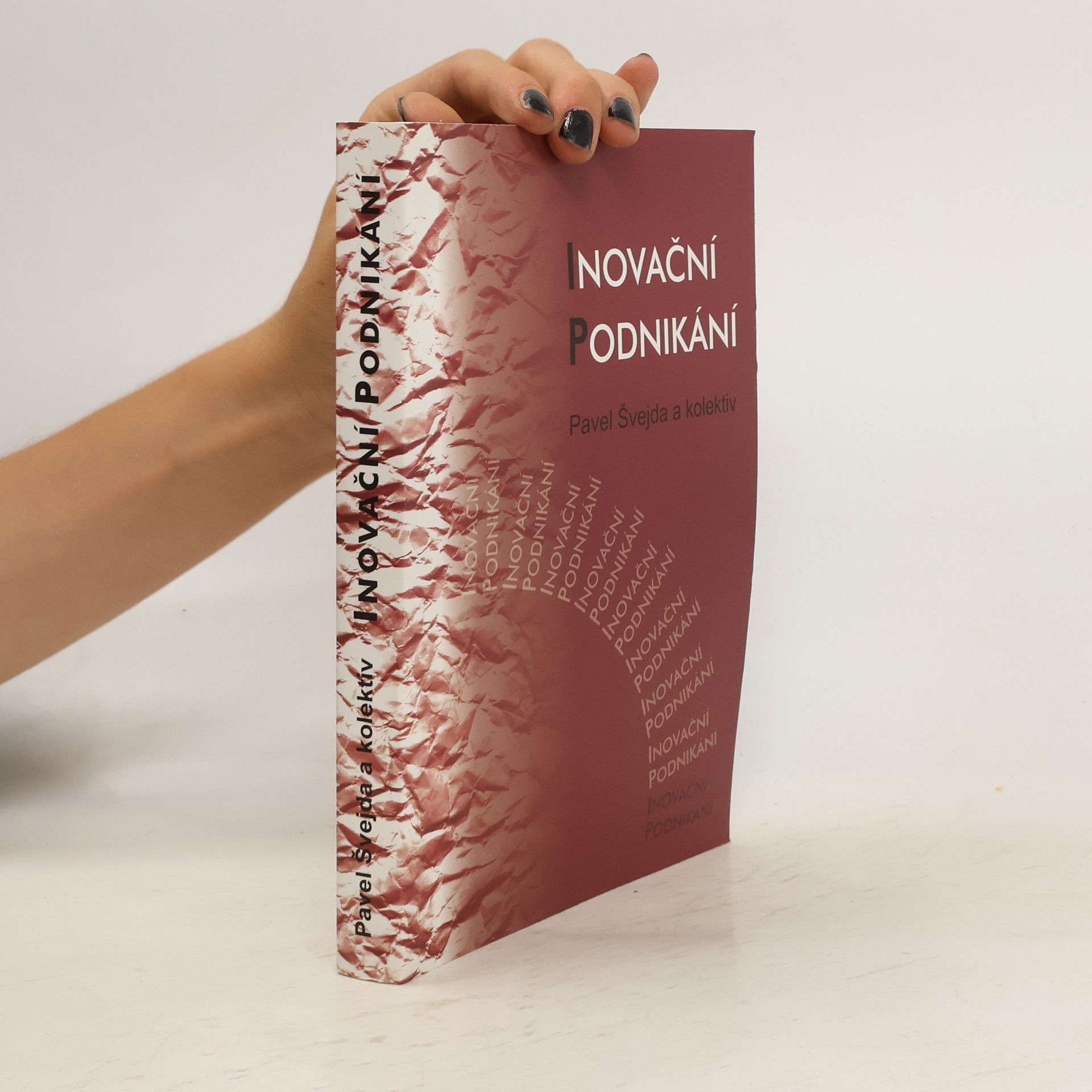 Pavel Švejda Inovační podnikání