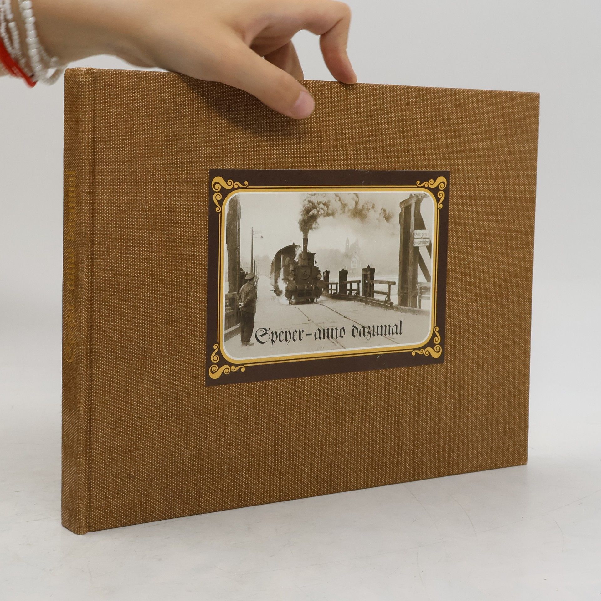 AA.VV. Speyerer Volksbank