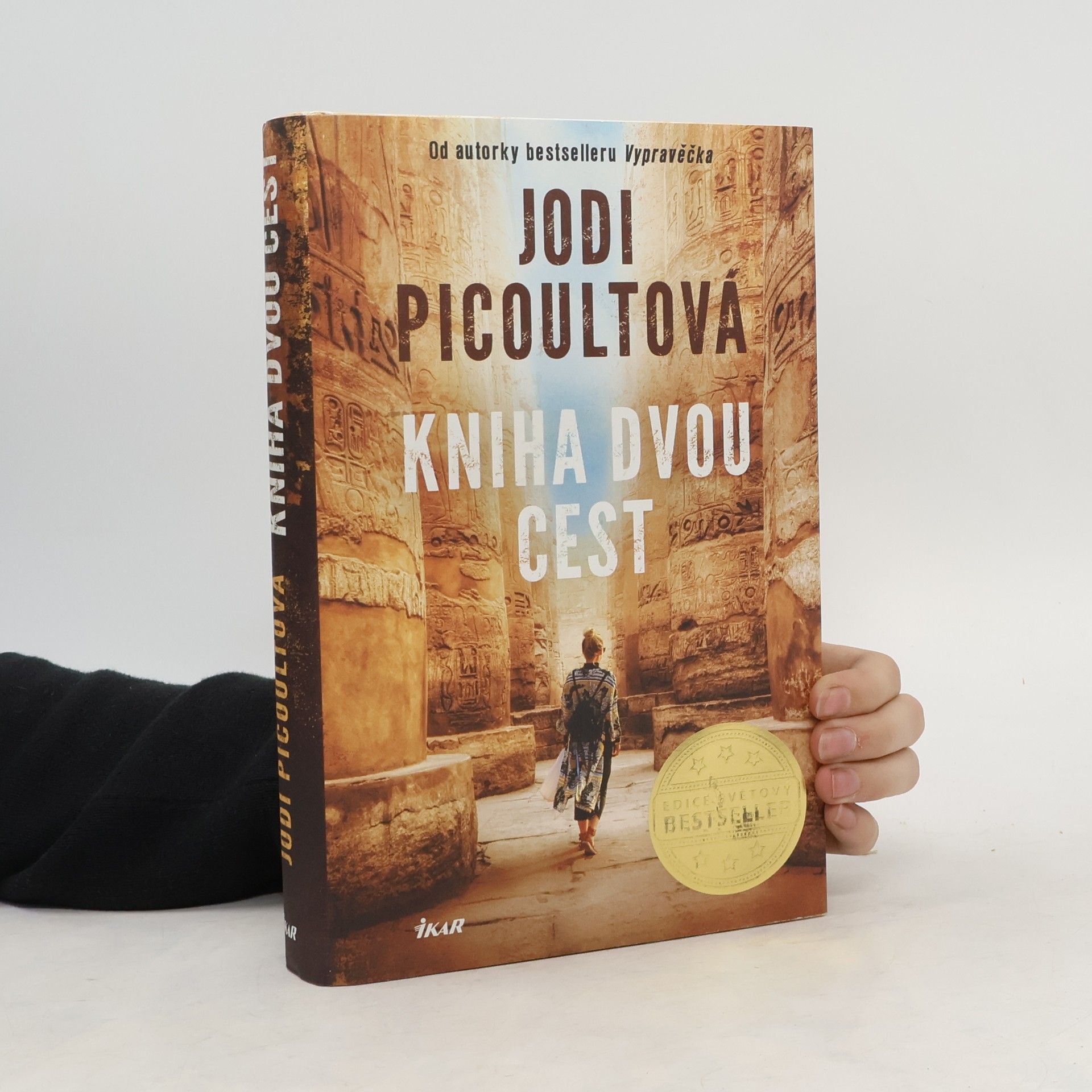 Jodi Picoult Kniha dvou cest