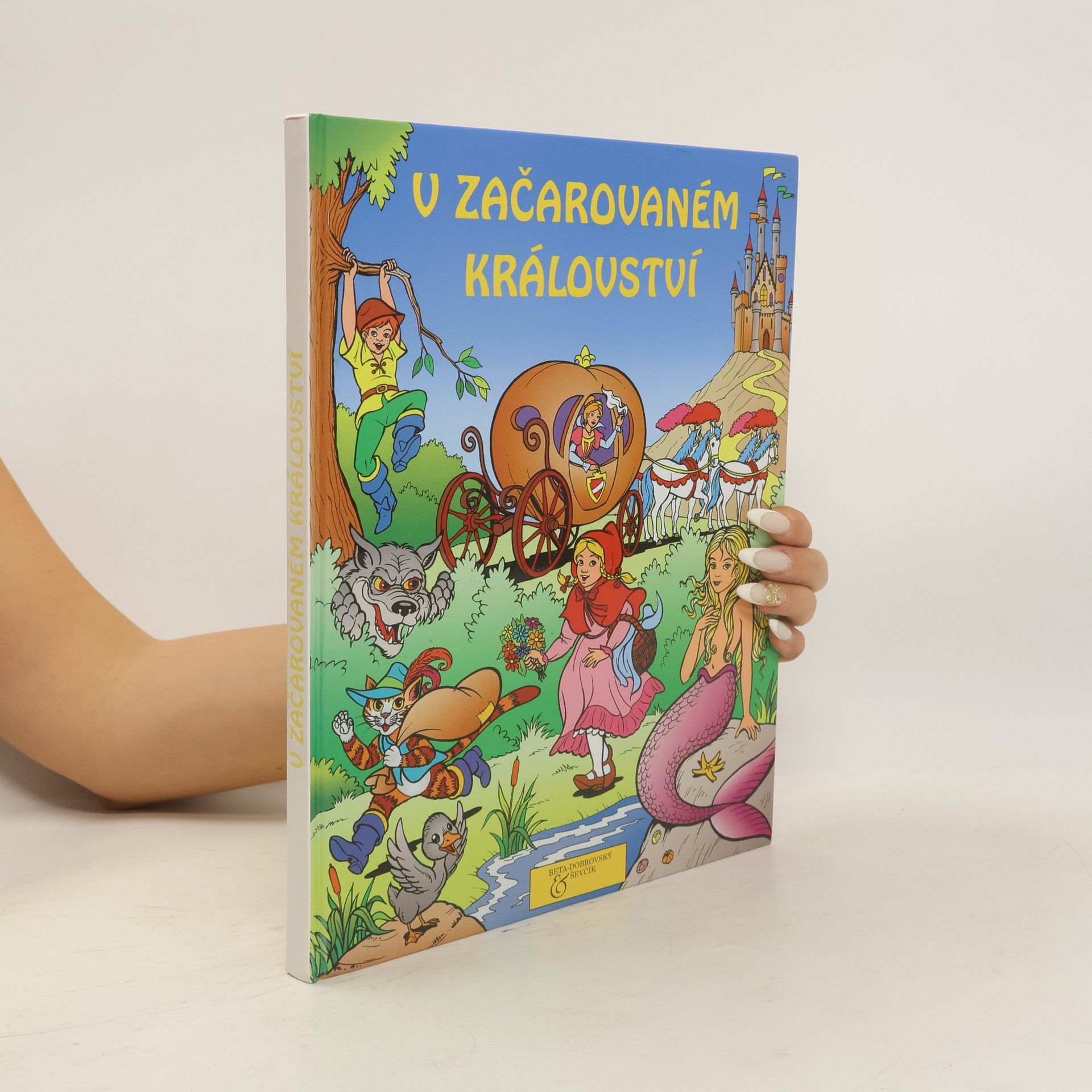 Collectif d'auteurs V začarovaném království