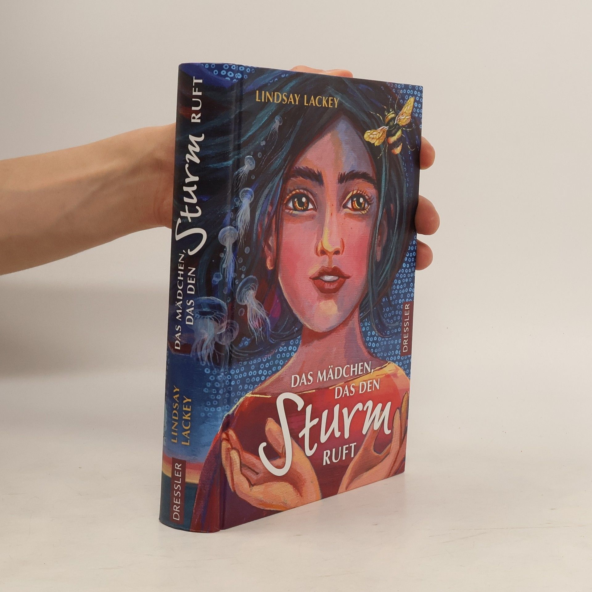 Lindsay Lackey Das Mädchen das den Sturm ruft