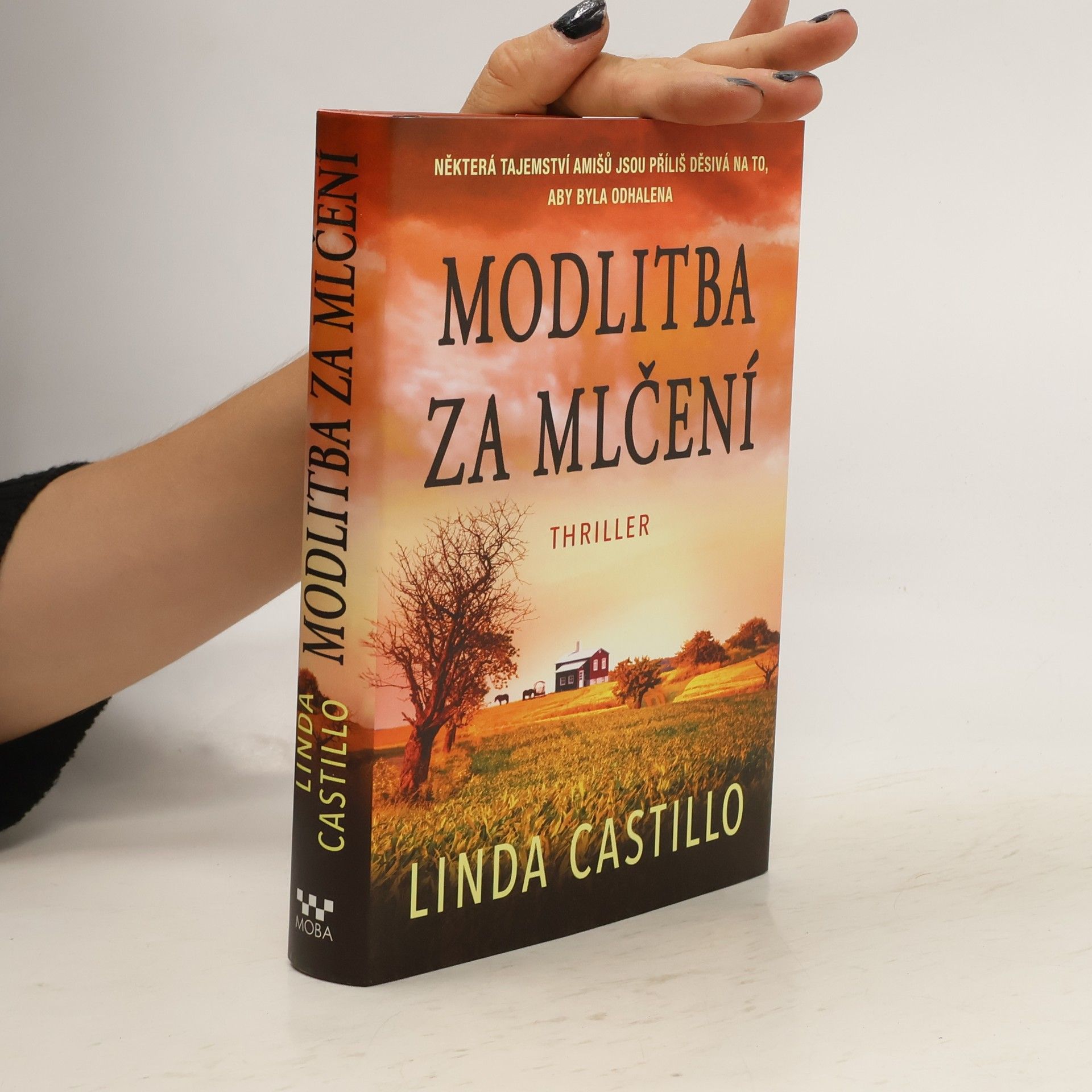 Linda Castillo Modlitba za mlčení