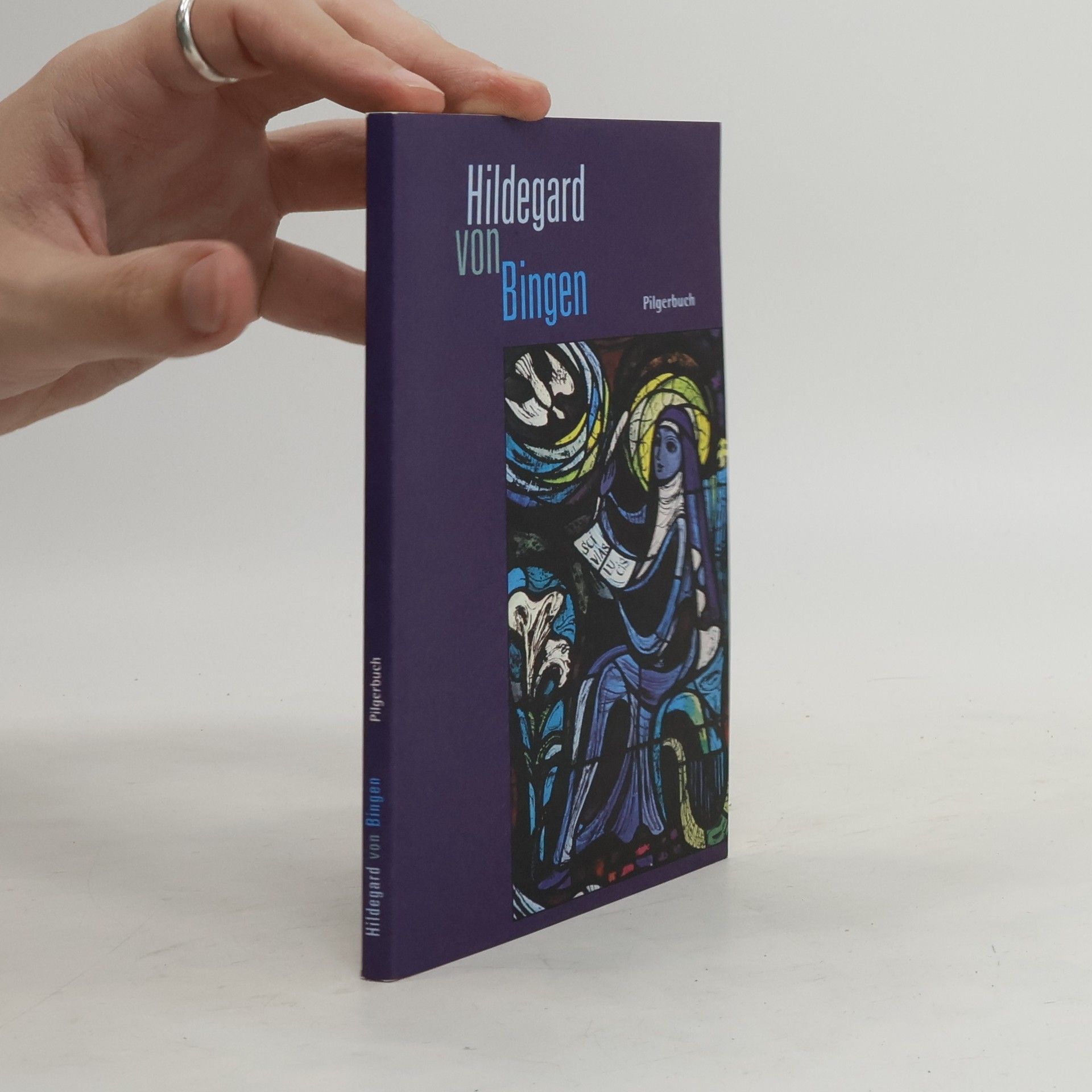 Auteurscollectief Hildegard von Bingen. Pilgerbuch