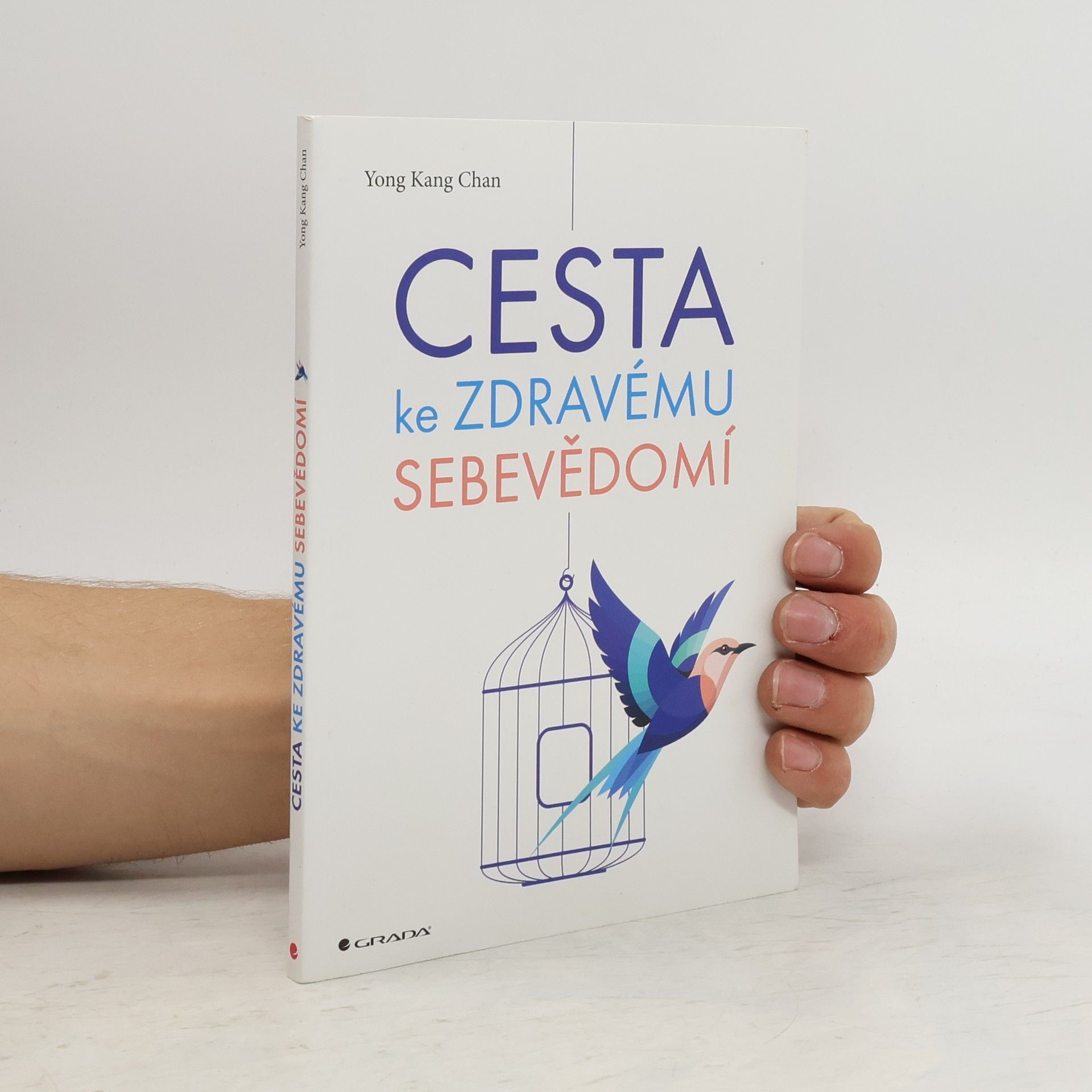 Yong Kang Chan Cesta ke zdravému sebevědomí