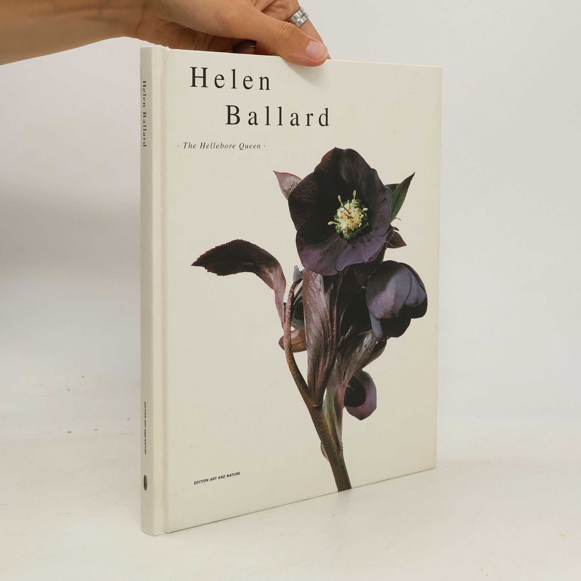 Collective Helen Ballard. The Hellebore Queen