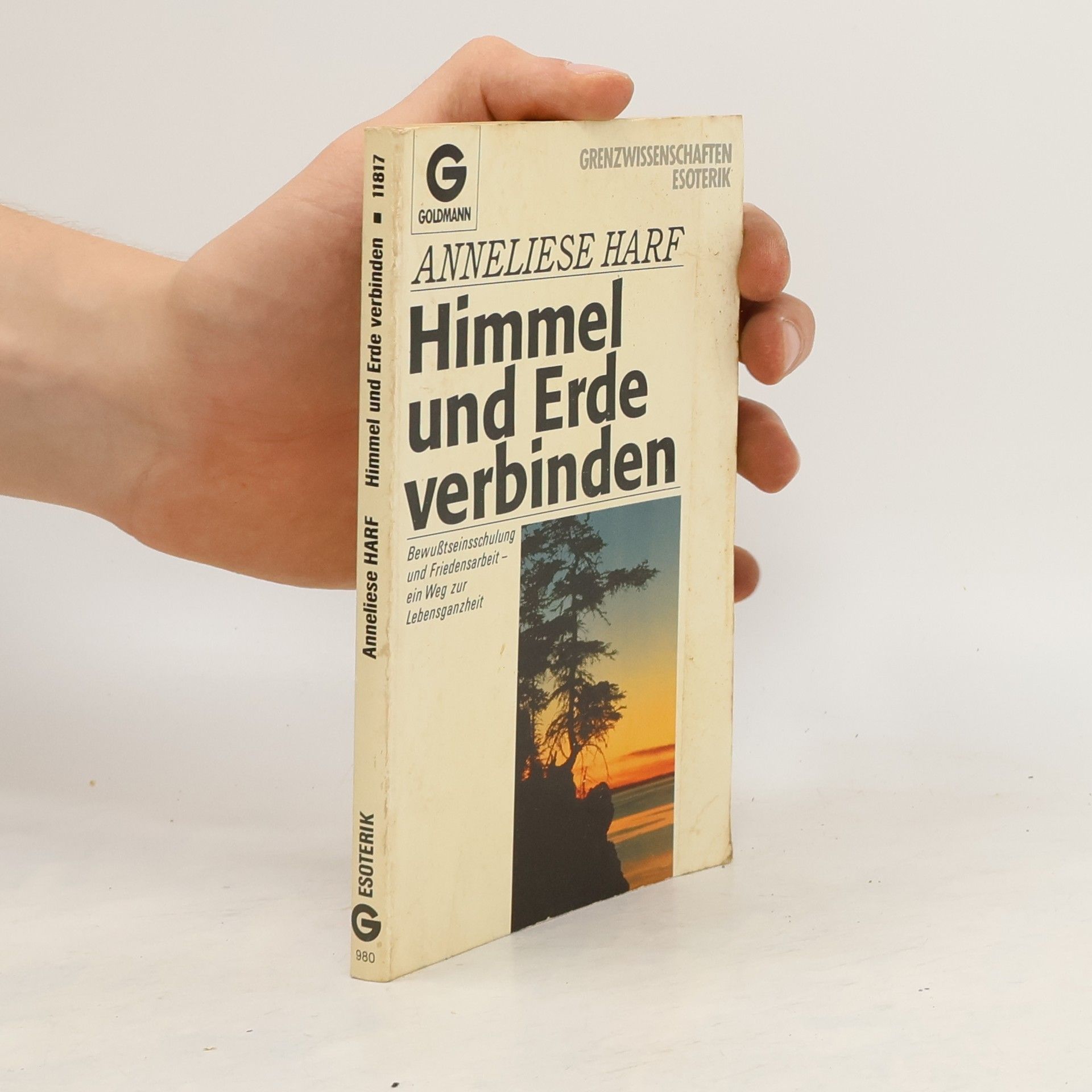 Wulfing von Rohr Himmel und Erde verbinden