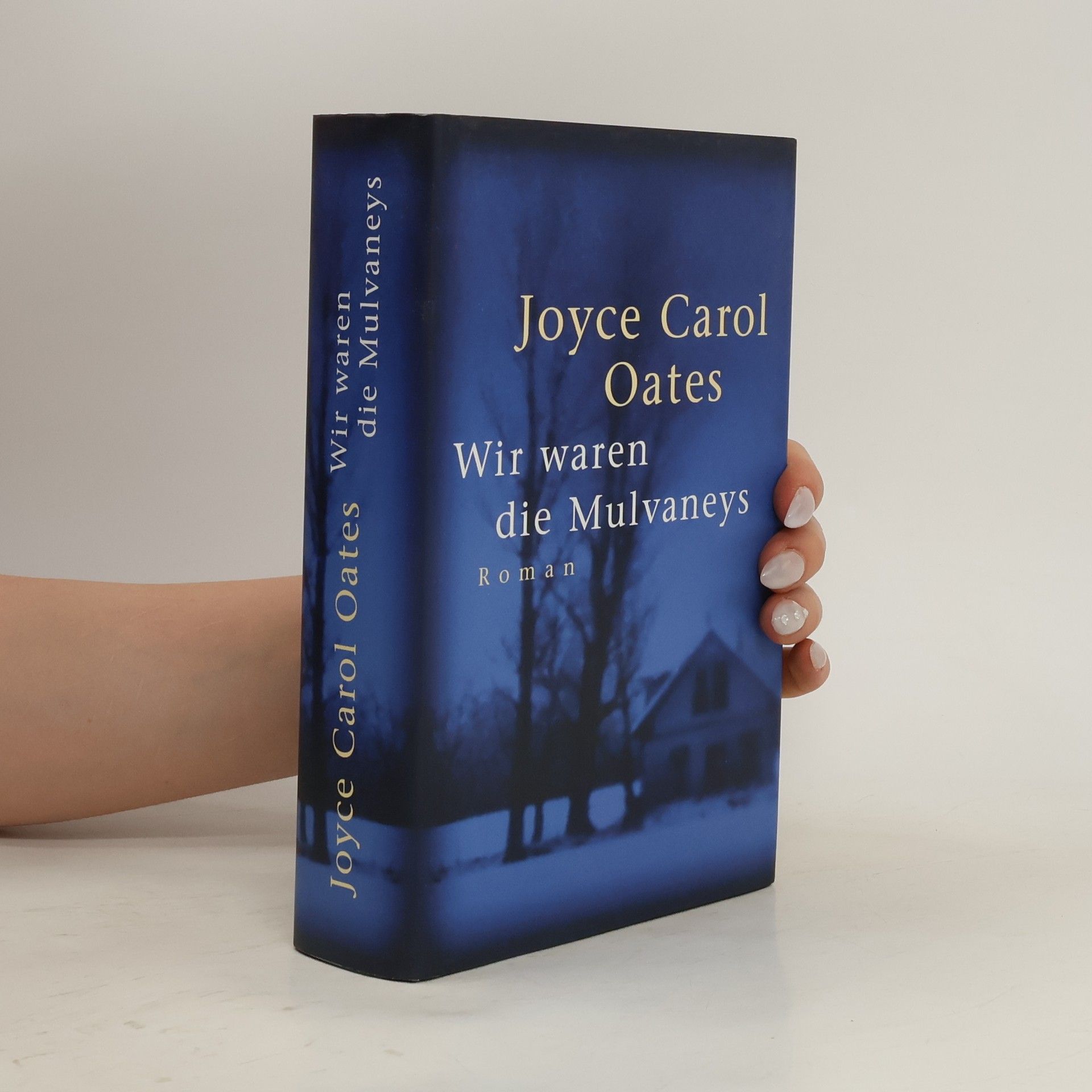 Joyce Carol Oates Wir waren die Mulvaneys