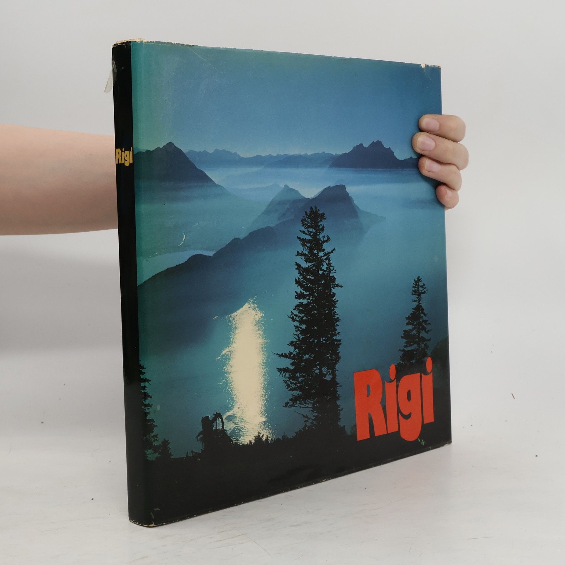 kolektiv Rigi
