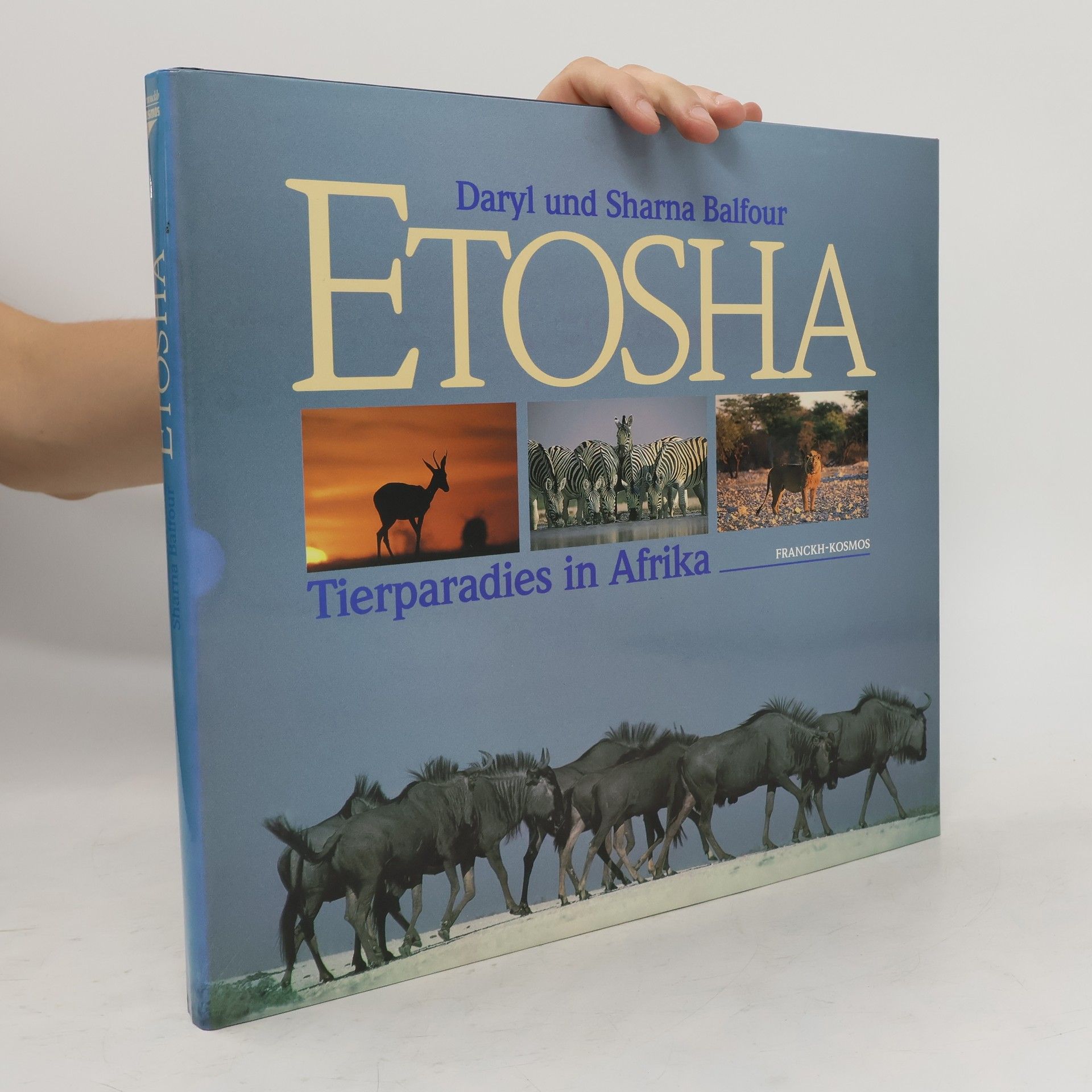 Daryl Balfour Etosha
