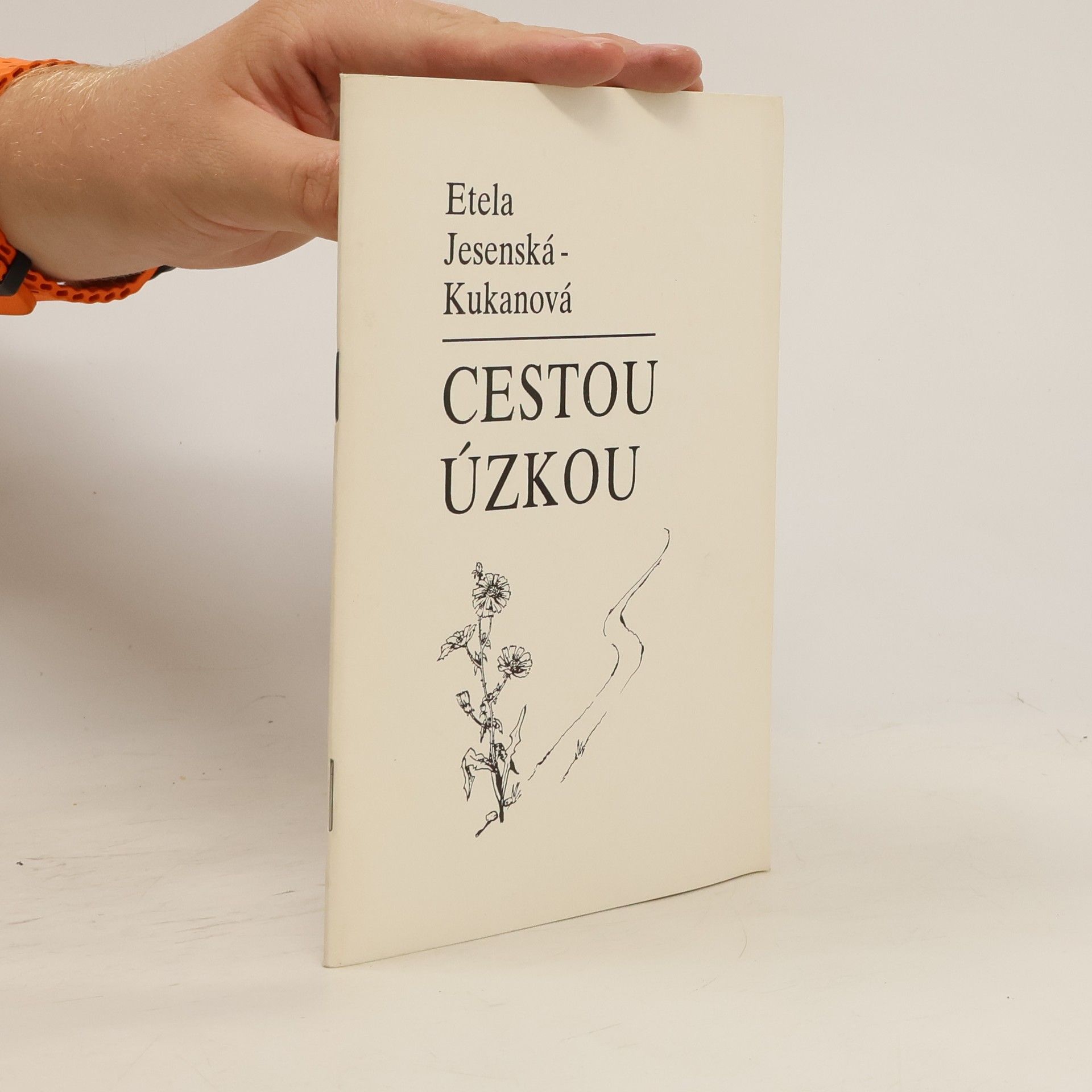 Etela Jesenská-Kuhanová Cestou úzkou