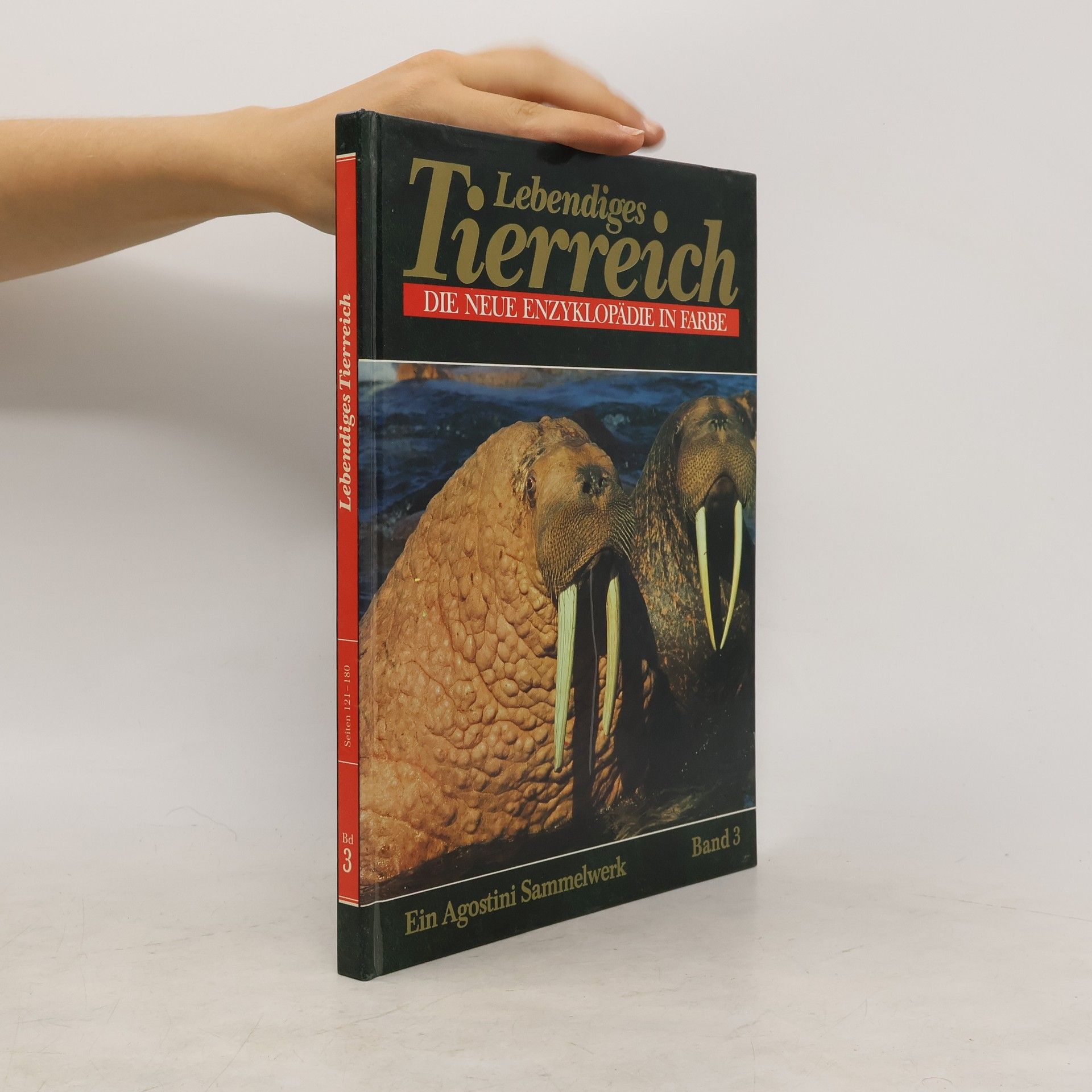 Autores varios Lebendiges Tierreich 3