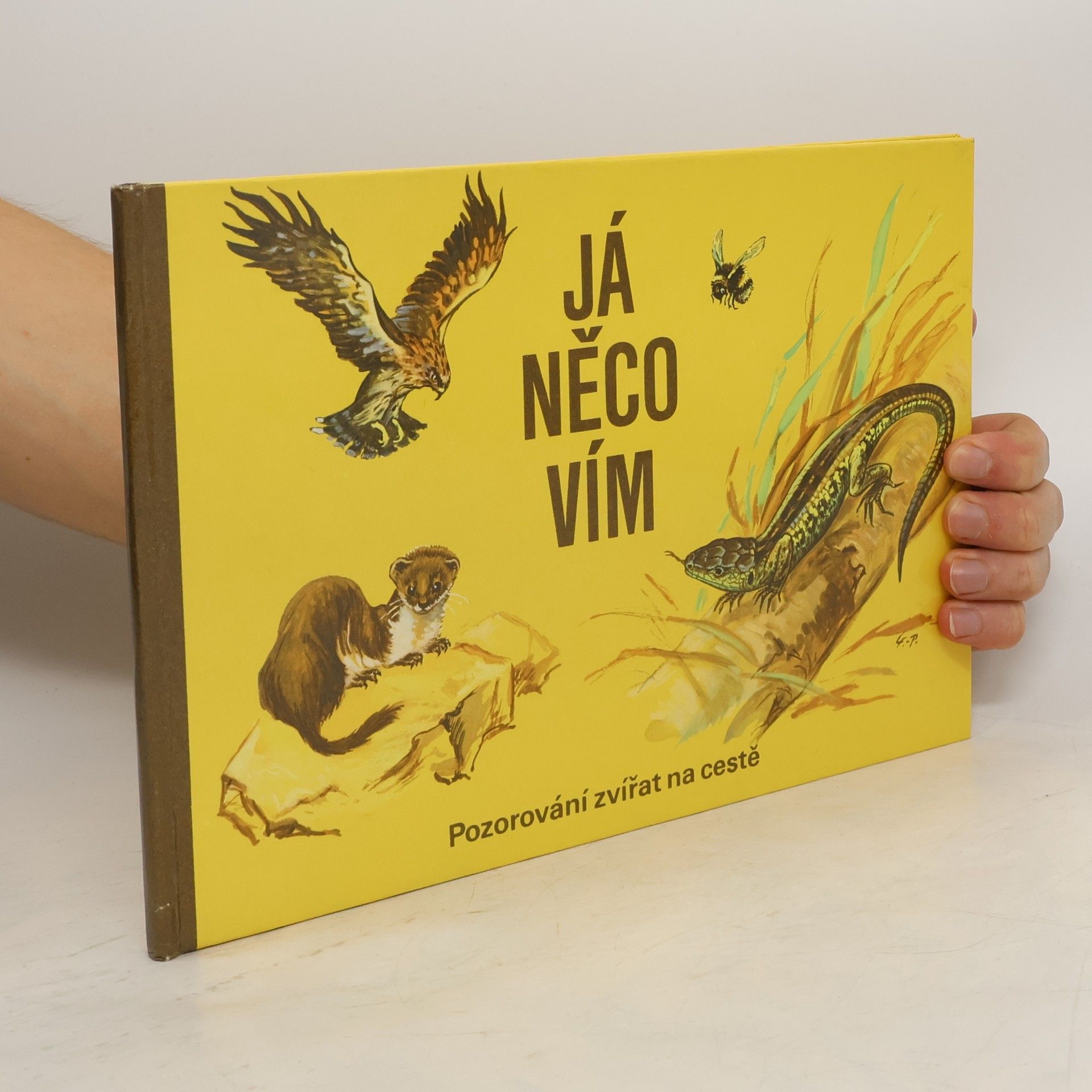 Waldemar Schulz Já něco vím. Pozorování zvířat na cestě