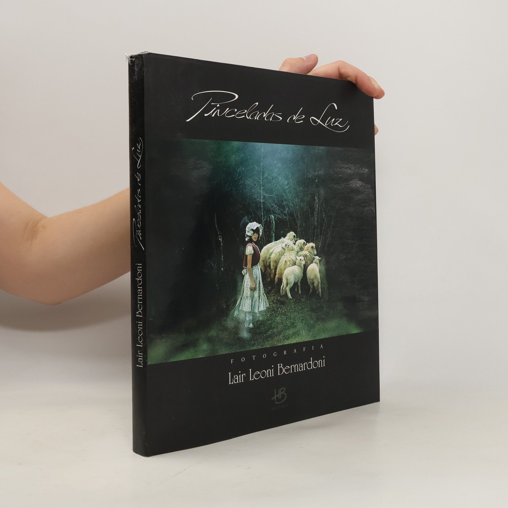 Lair Leoni Bernardoni Pinceladas de Luz