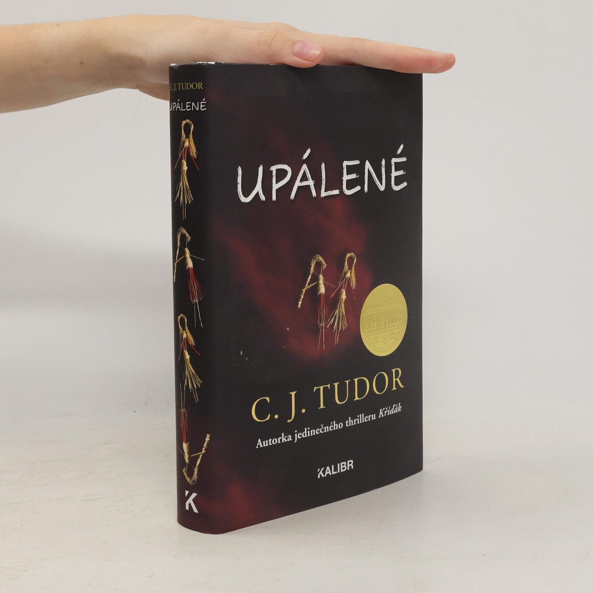C. J. Tudor Upálené