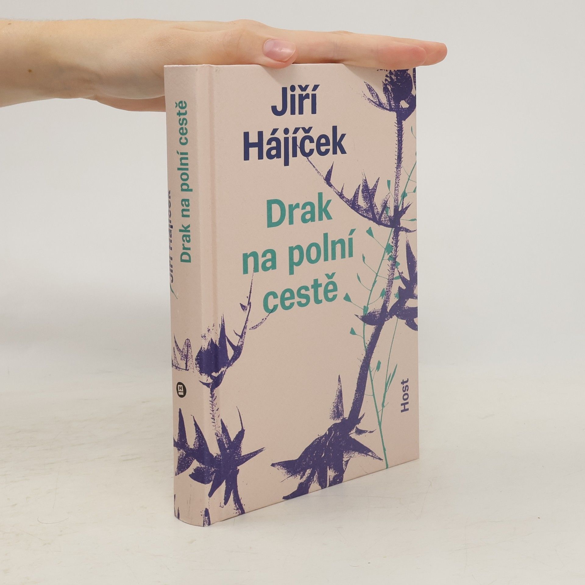 Jiří Hájíček Drak na polní cestě