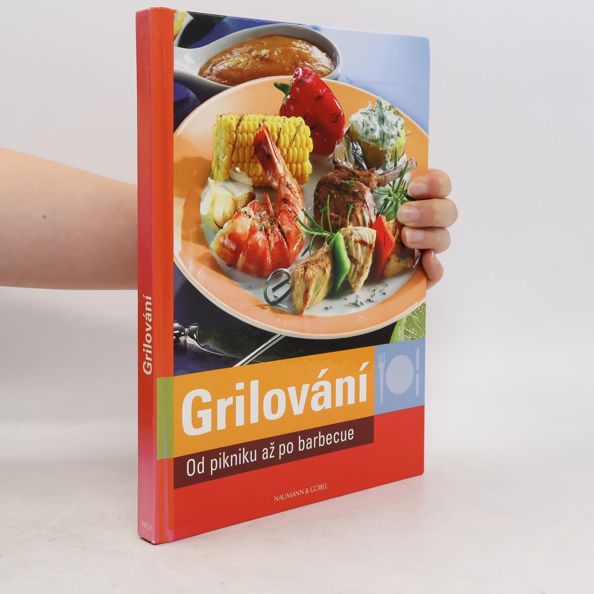 Collectif d'auteurs Grilování. Od pikniku až po barbecue