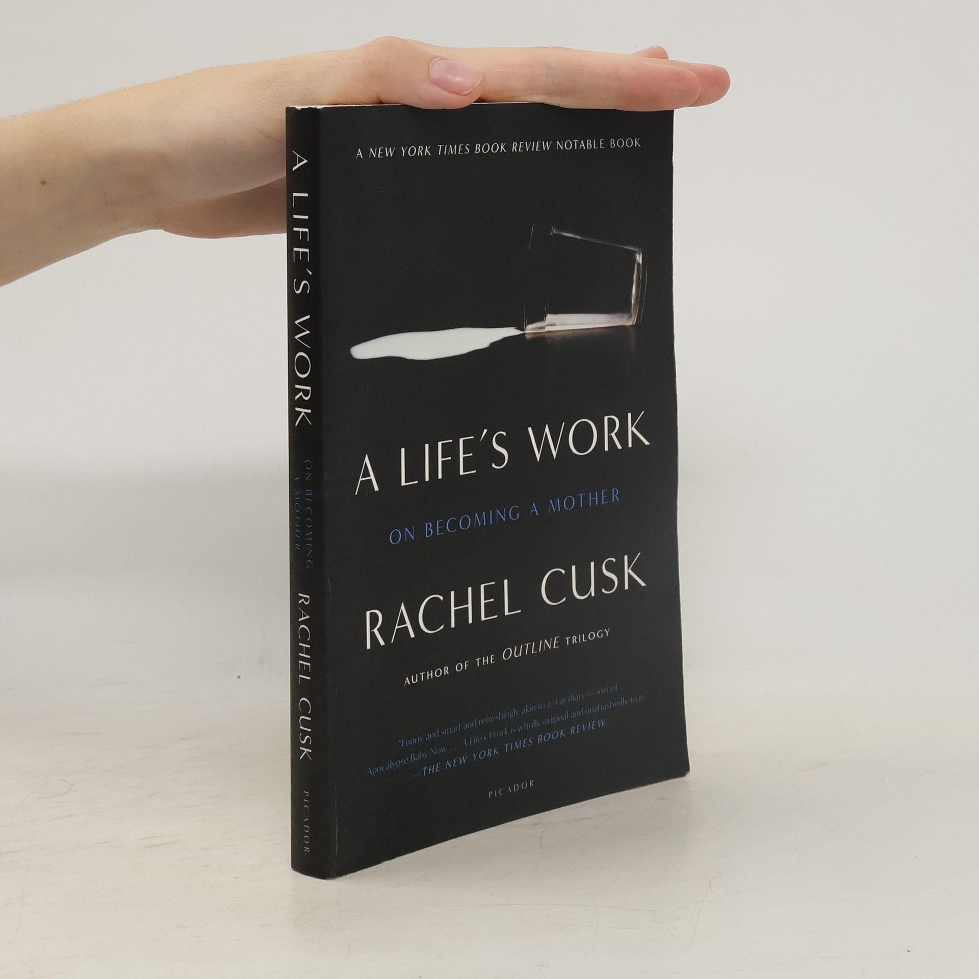 Rachel Cusk A Life's Work: On Becoming a Mother