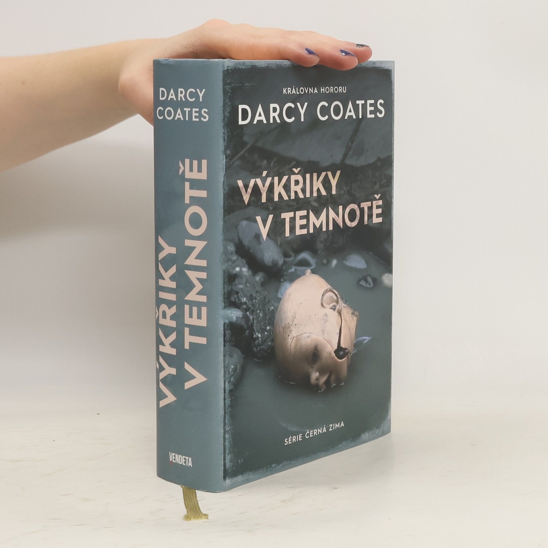 Darcy Coates Výkřiky v temnotě