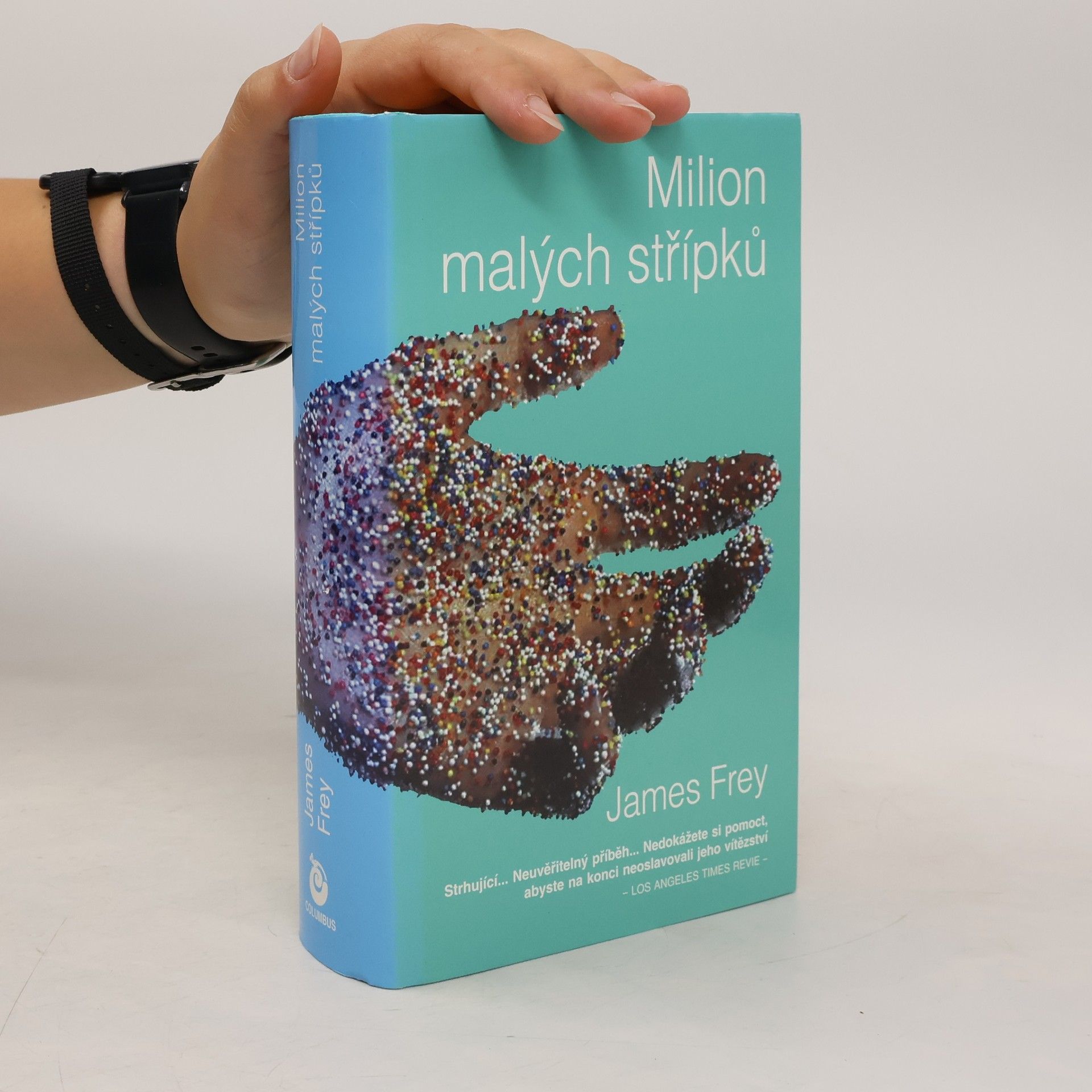 James Frey Milion malých střípků