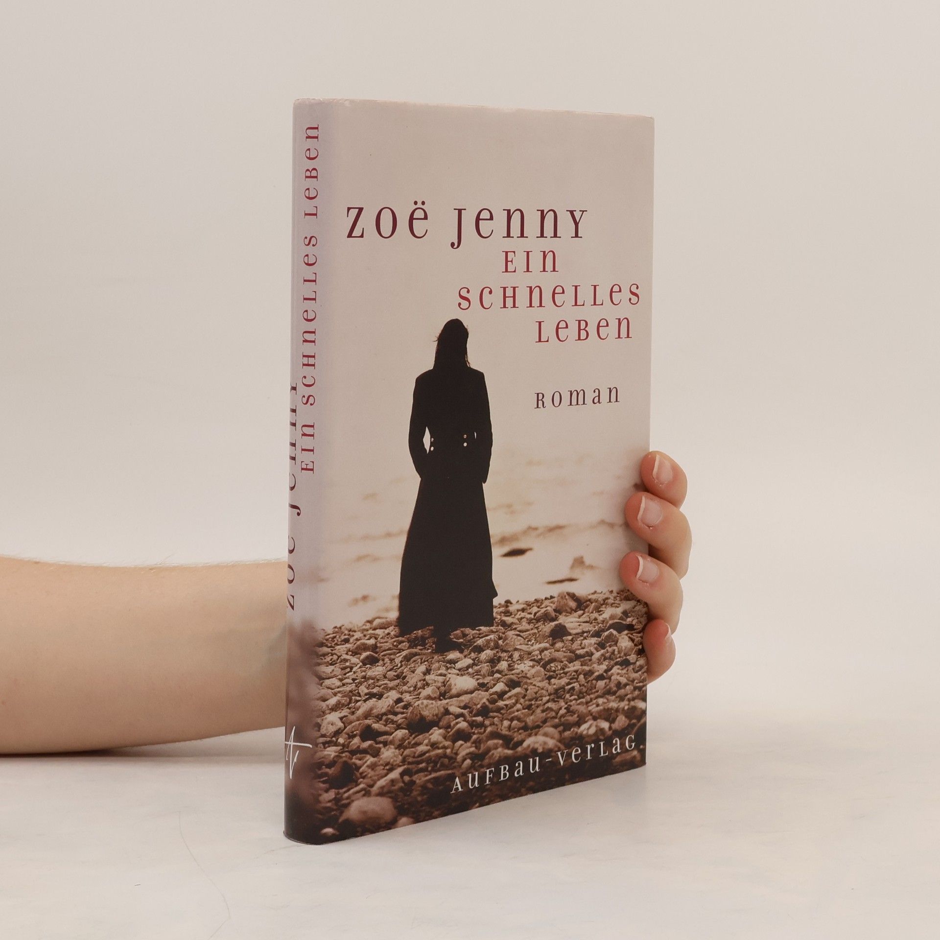 Zoë Jenny Ein schnelles Leben