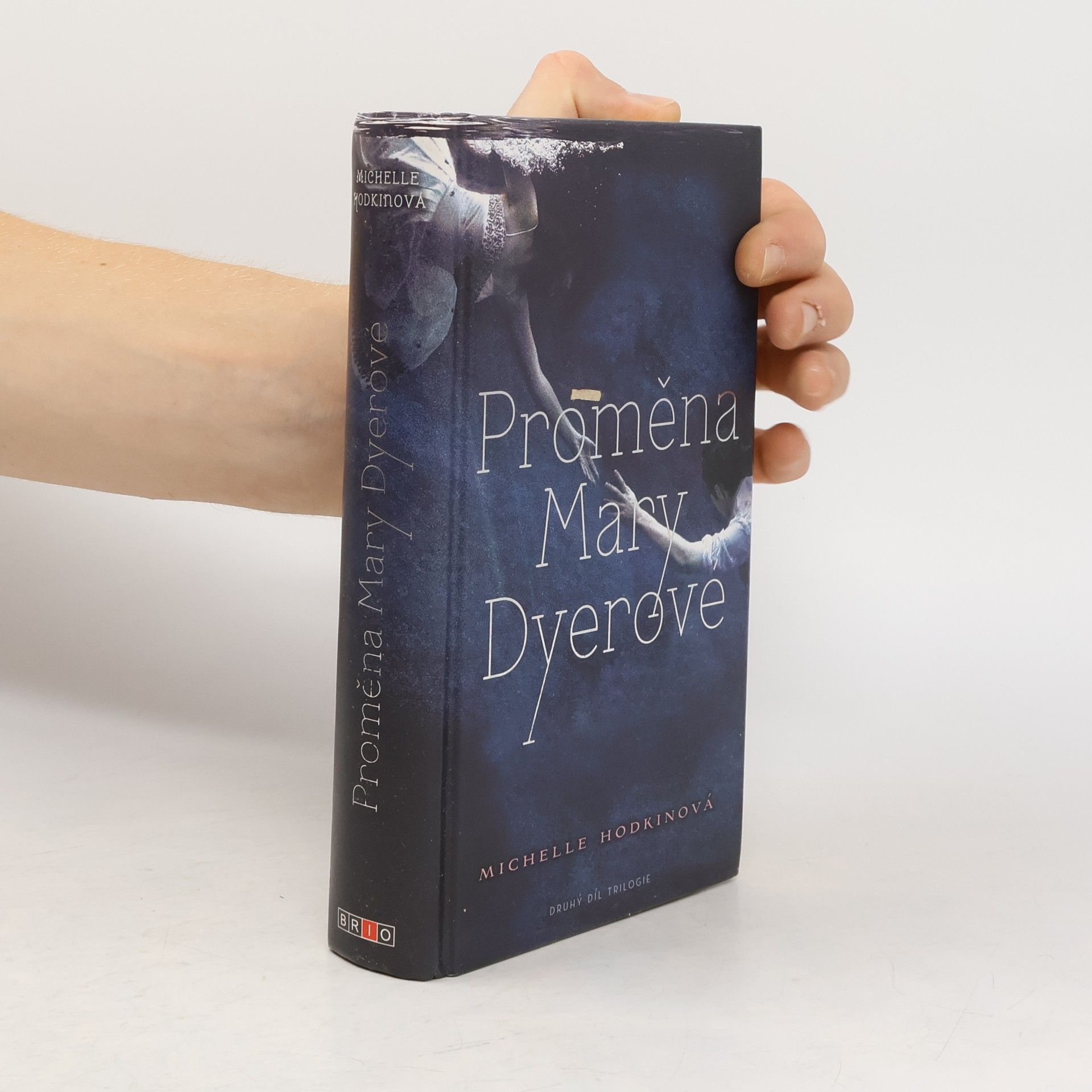 Michelle Hodkin Proměna Mary Dyerové