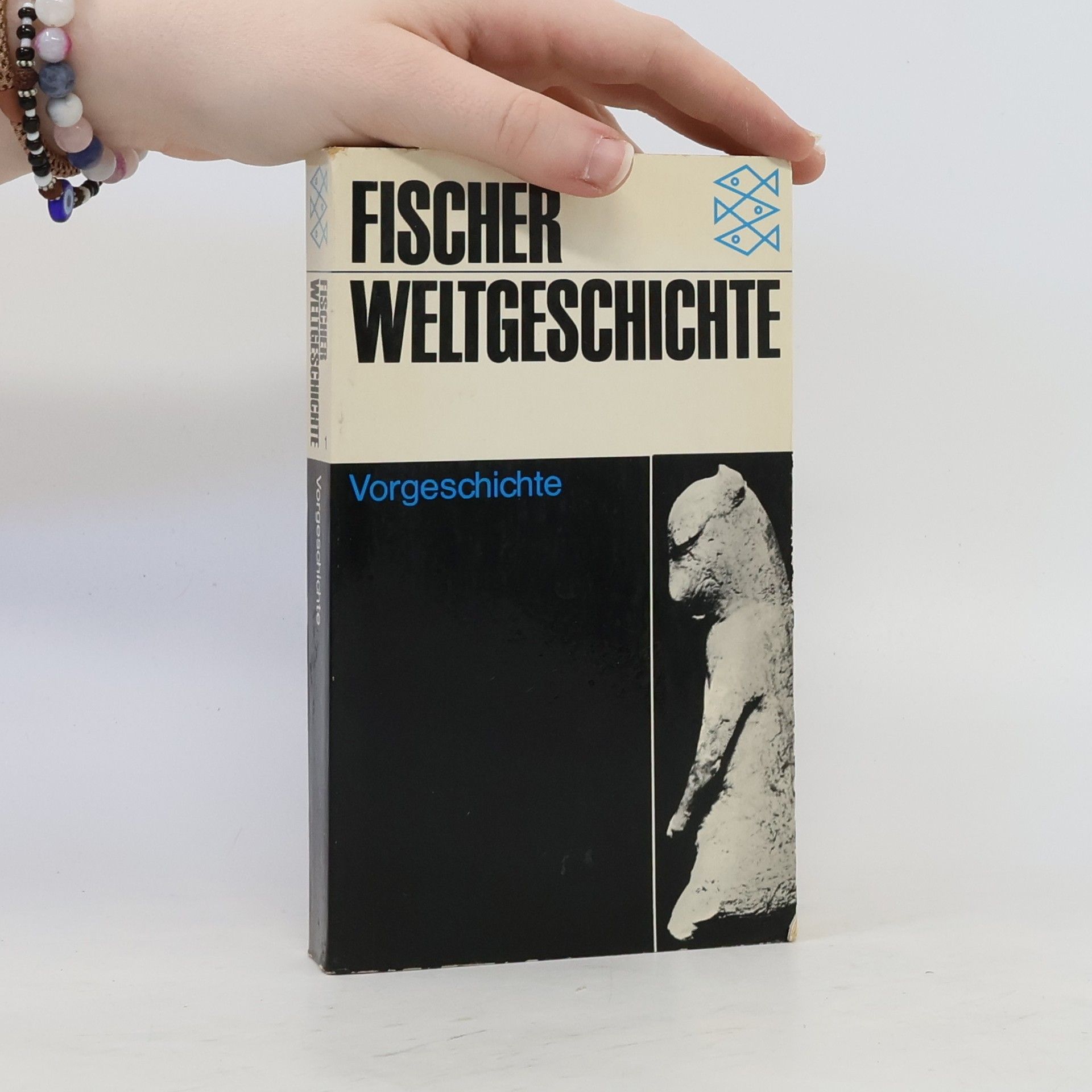 Collectif d'auteurs Fischer Weltgeschichte : Vorgeschichte