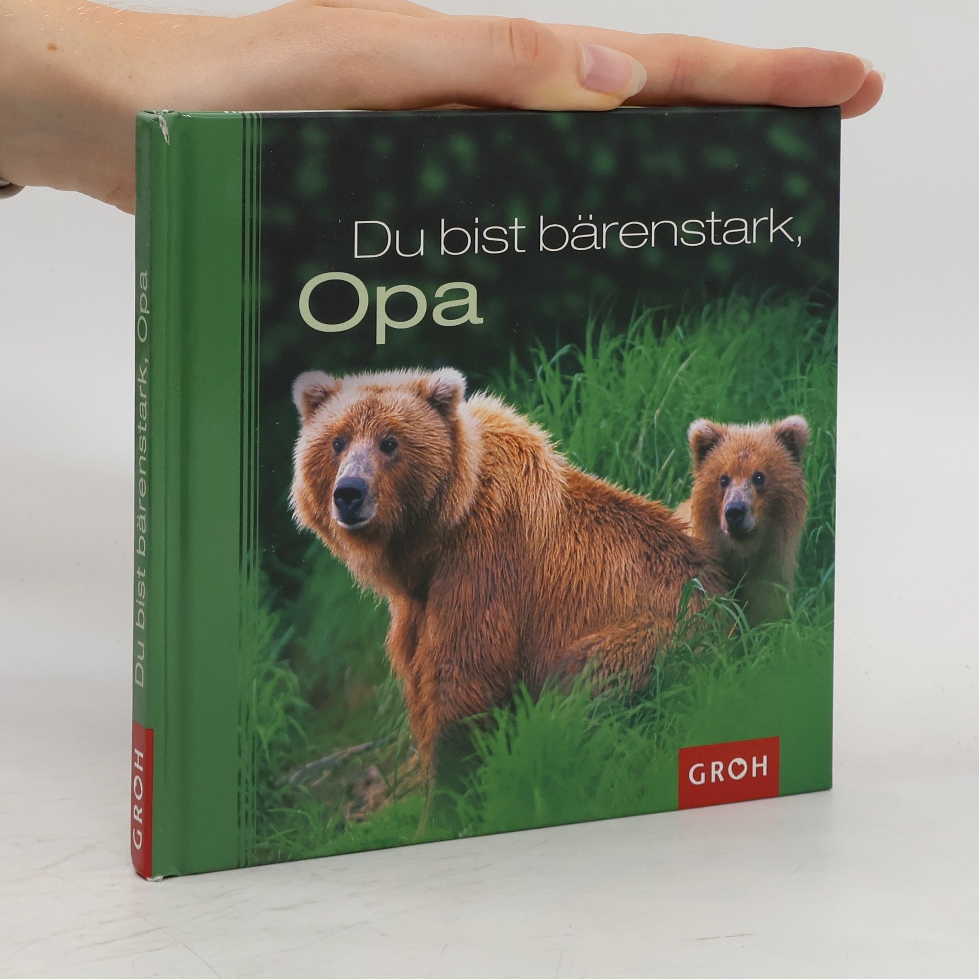 Dorothée Bleker Du bist bärenstark, Opa