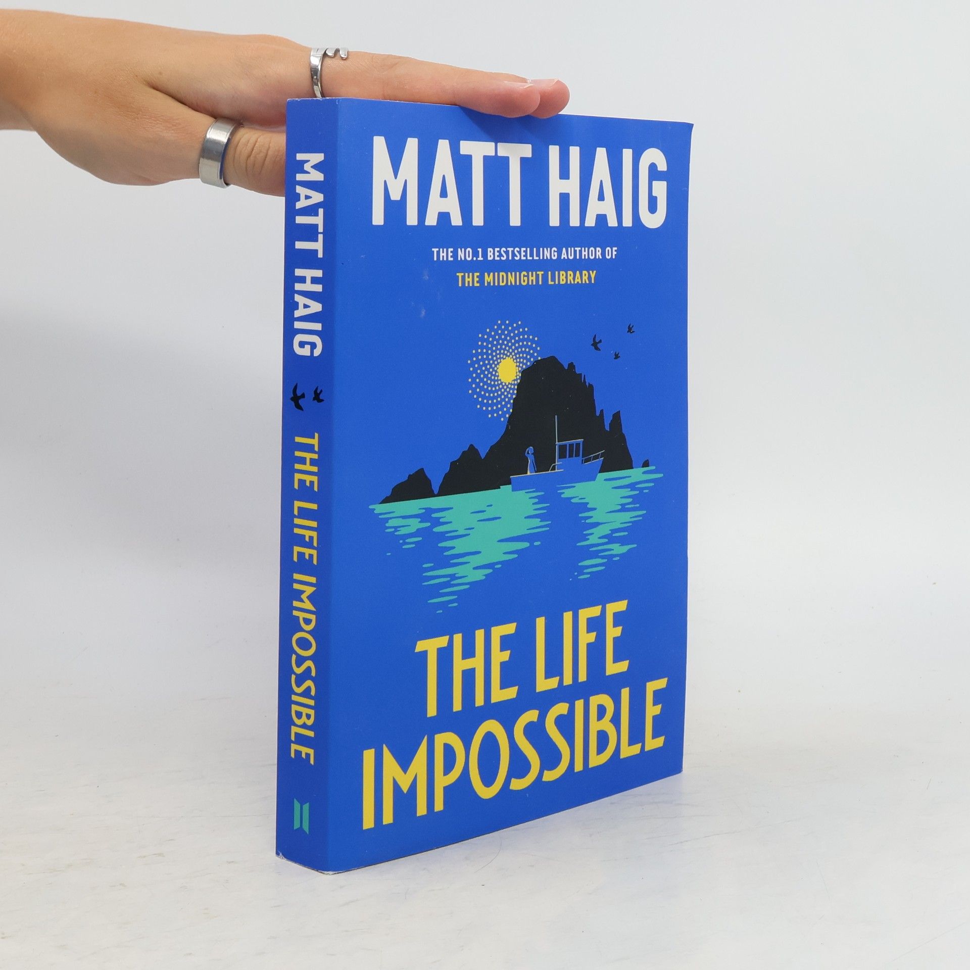 Matt Haig The Life Impossible
