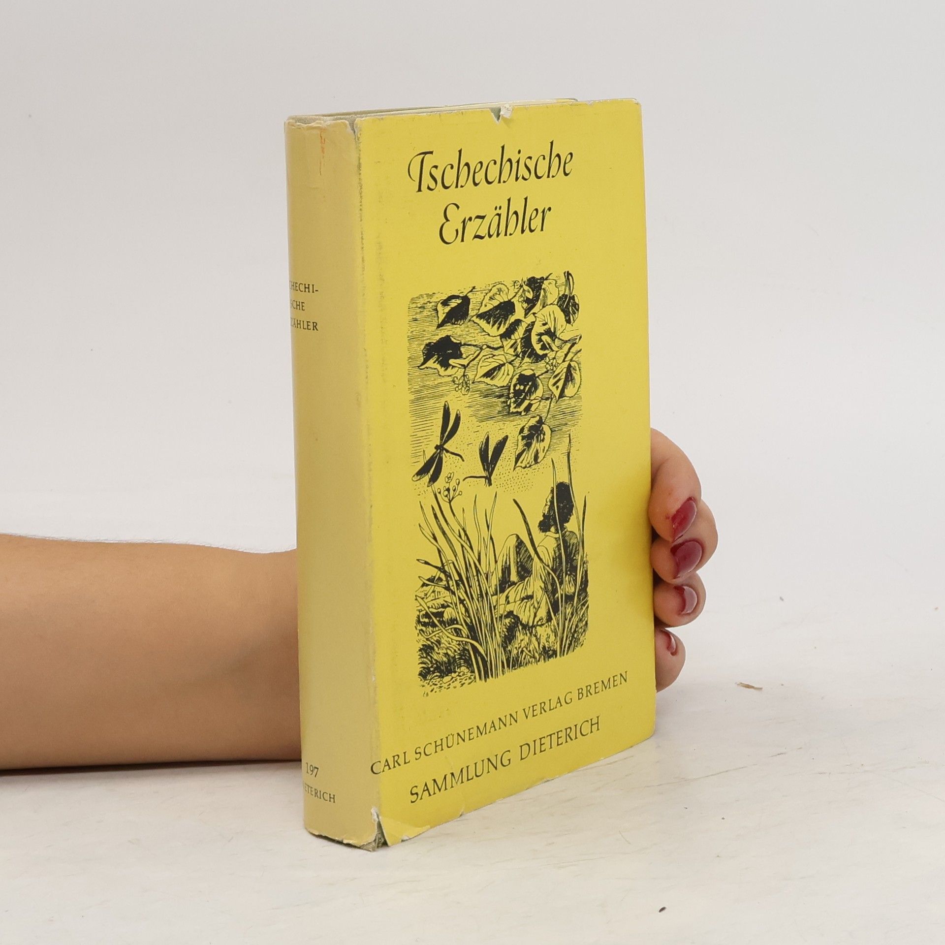 AA.VV. Tschechische Erzähler