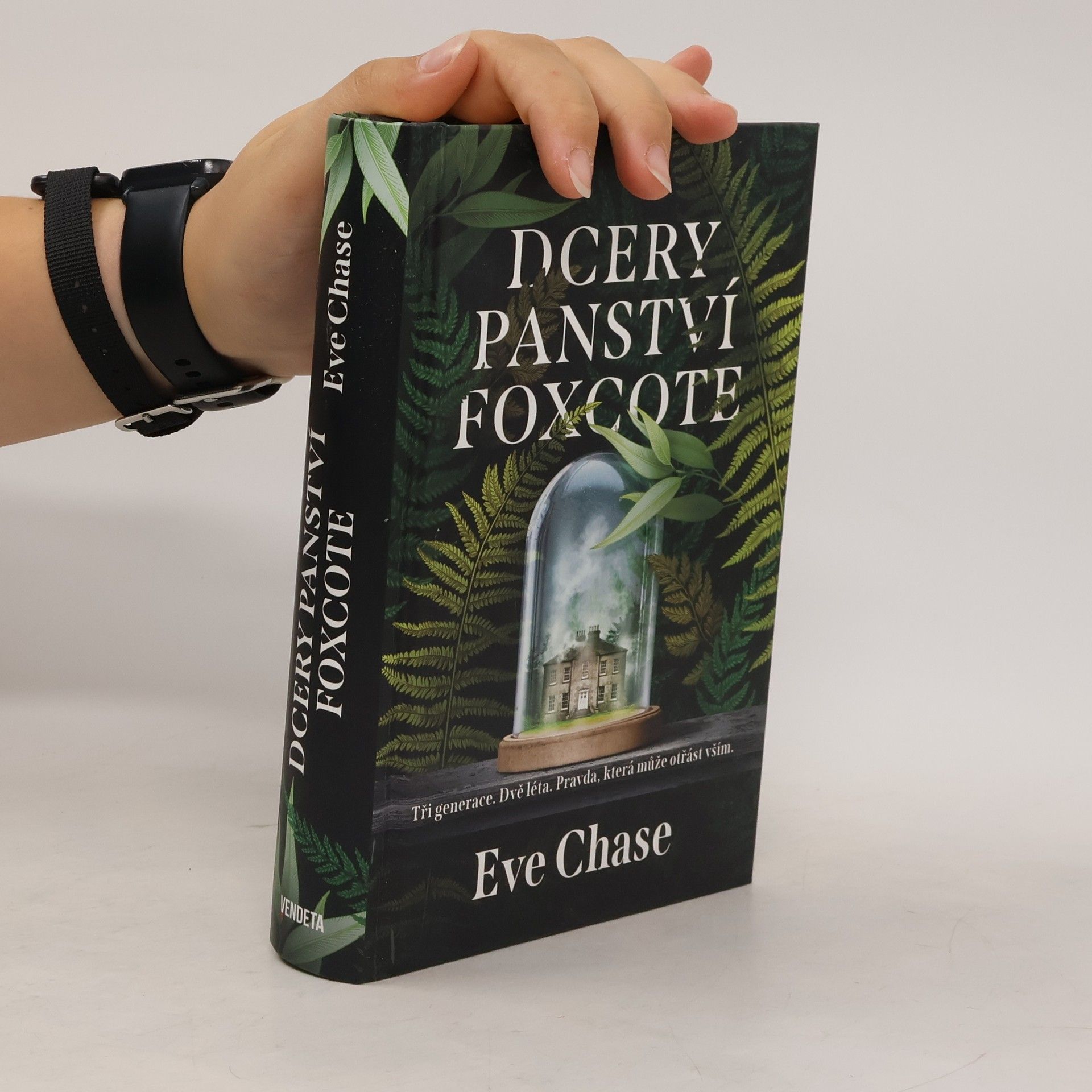 Eve Chase Dcery panství Foxcote