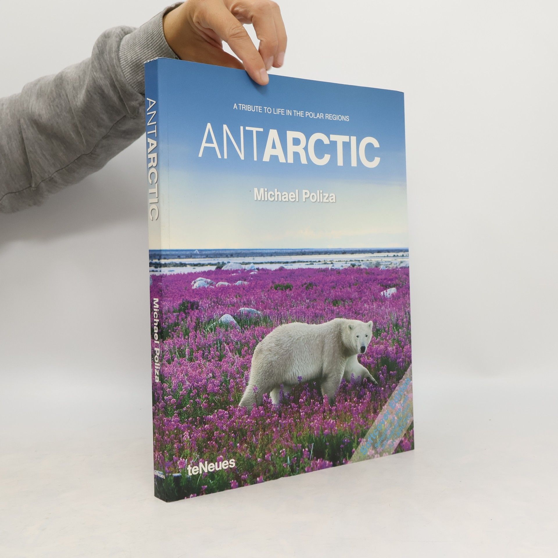 Michael Poliza Antarctic