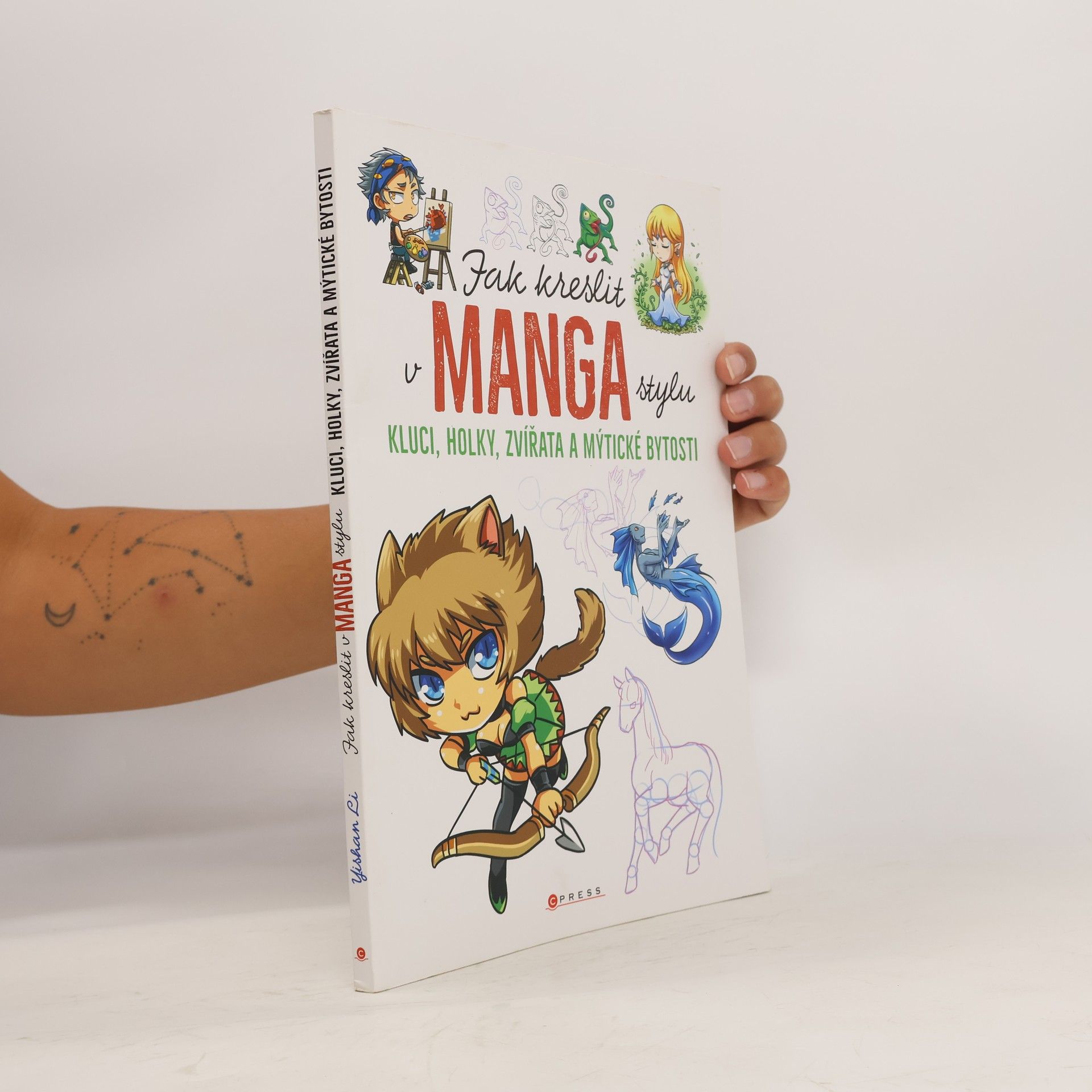 Yishan Li Jak kreslit v manga stylu: Kluci, holky, zvířata a mýtické bytosti