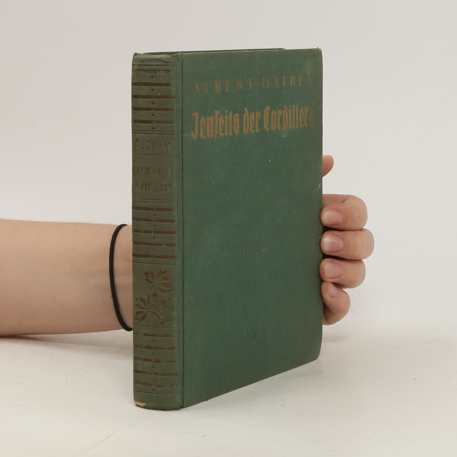 Albert Daiber Jenseits der Kordilleren