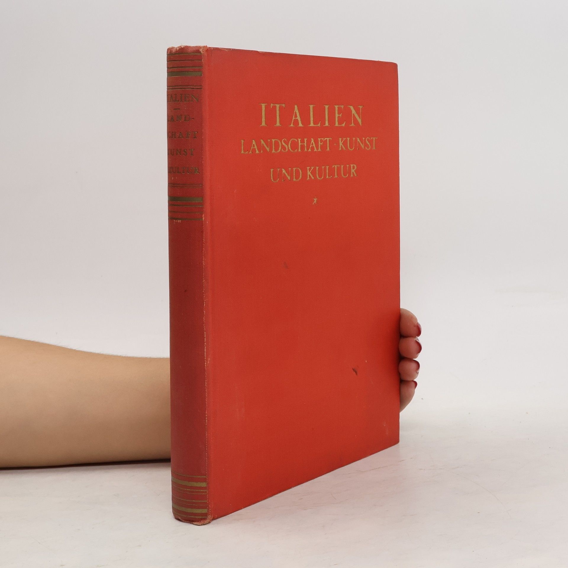 C. W. Schmidt Italien. Landschaft, Kunst und Kultur