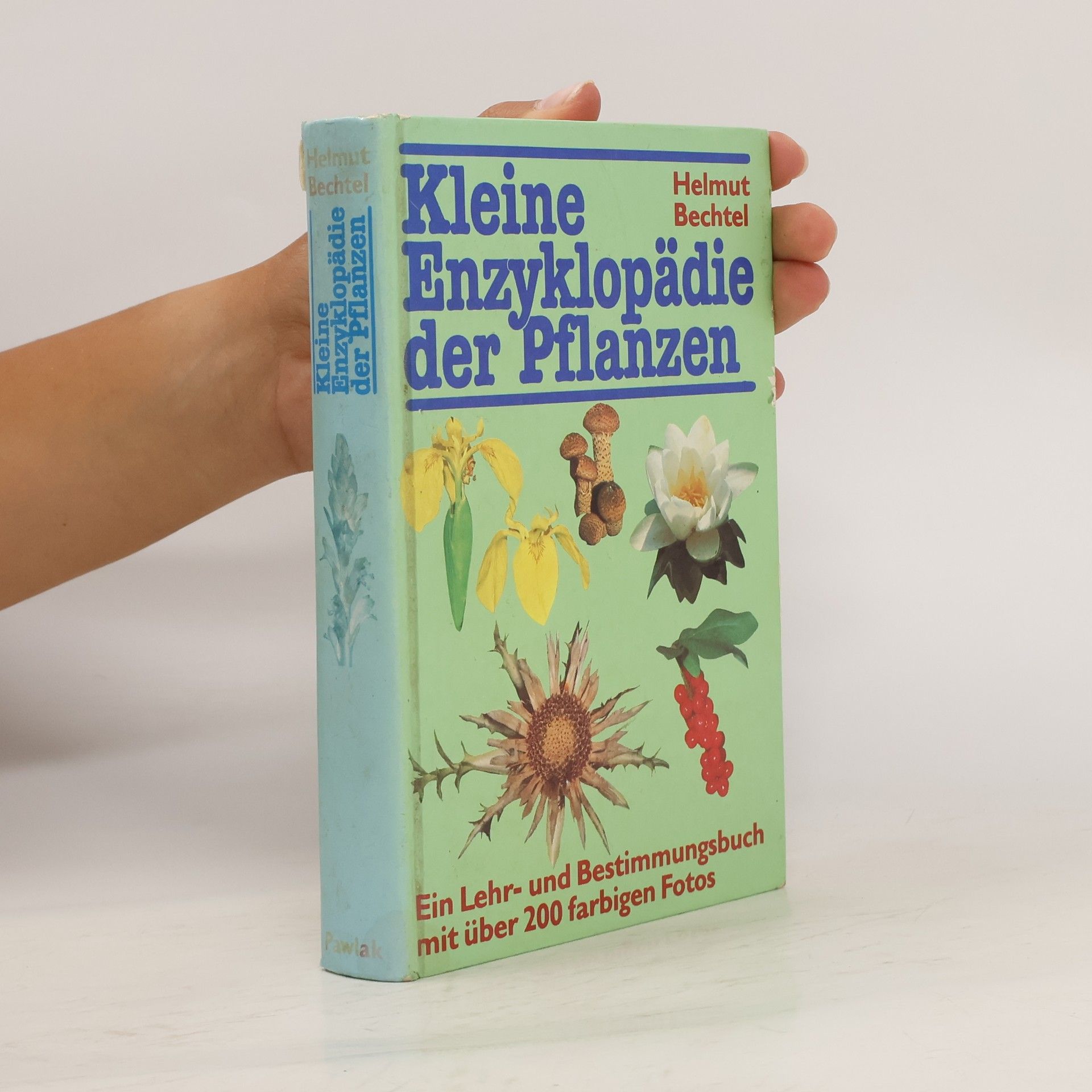 Helmut Bechtel Kleine Enzyklopädie der Pflanzen