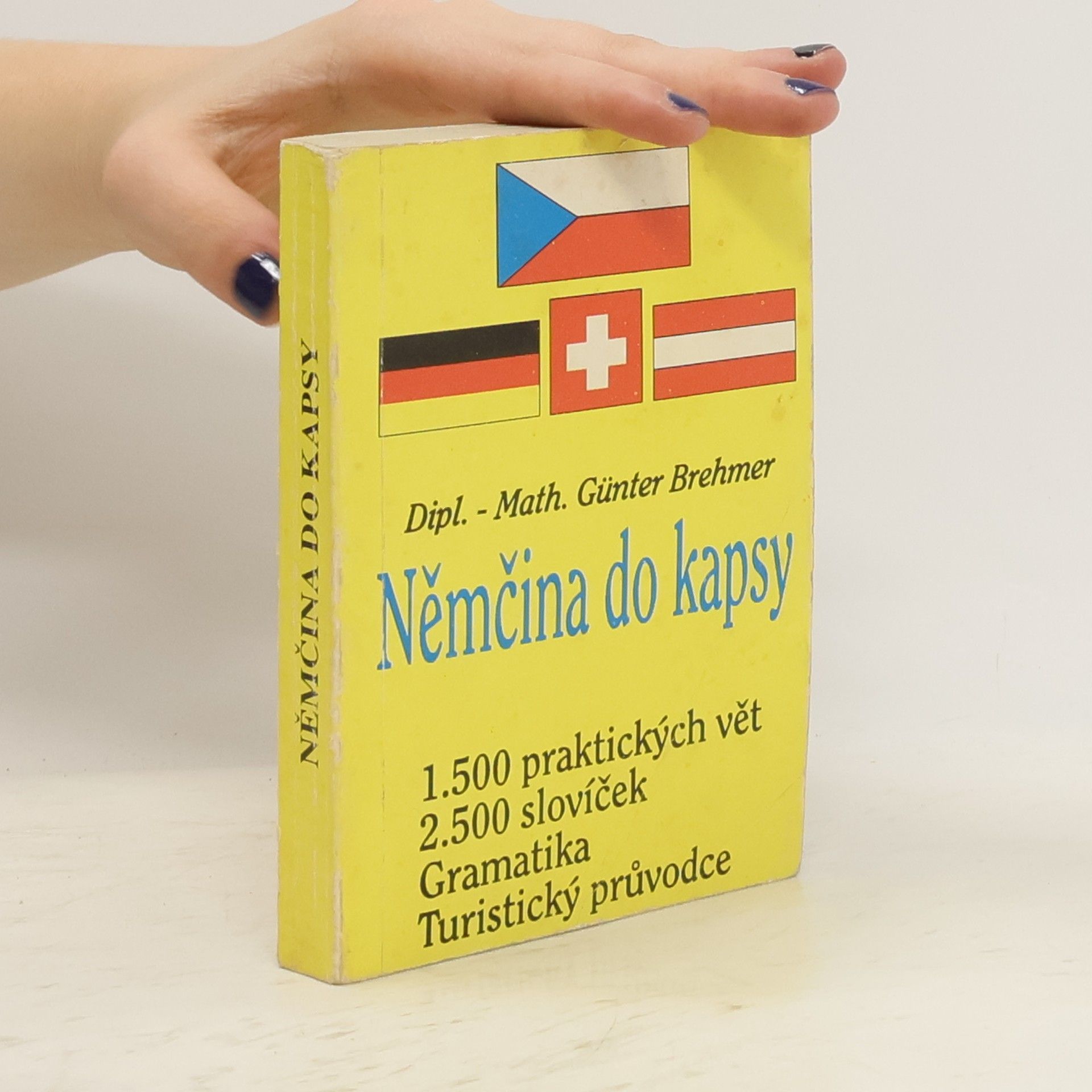 Günter Brehmer Němčina do kapsy