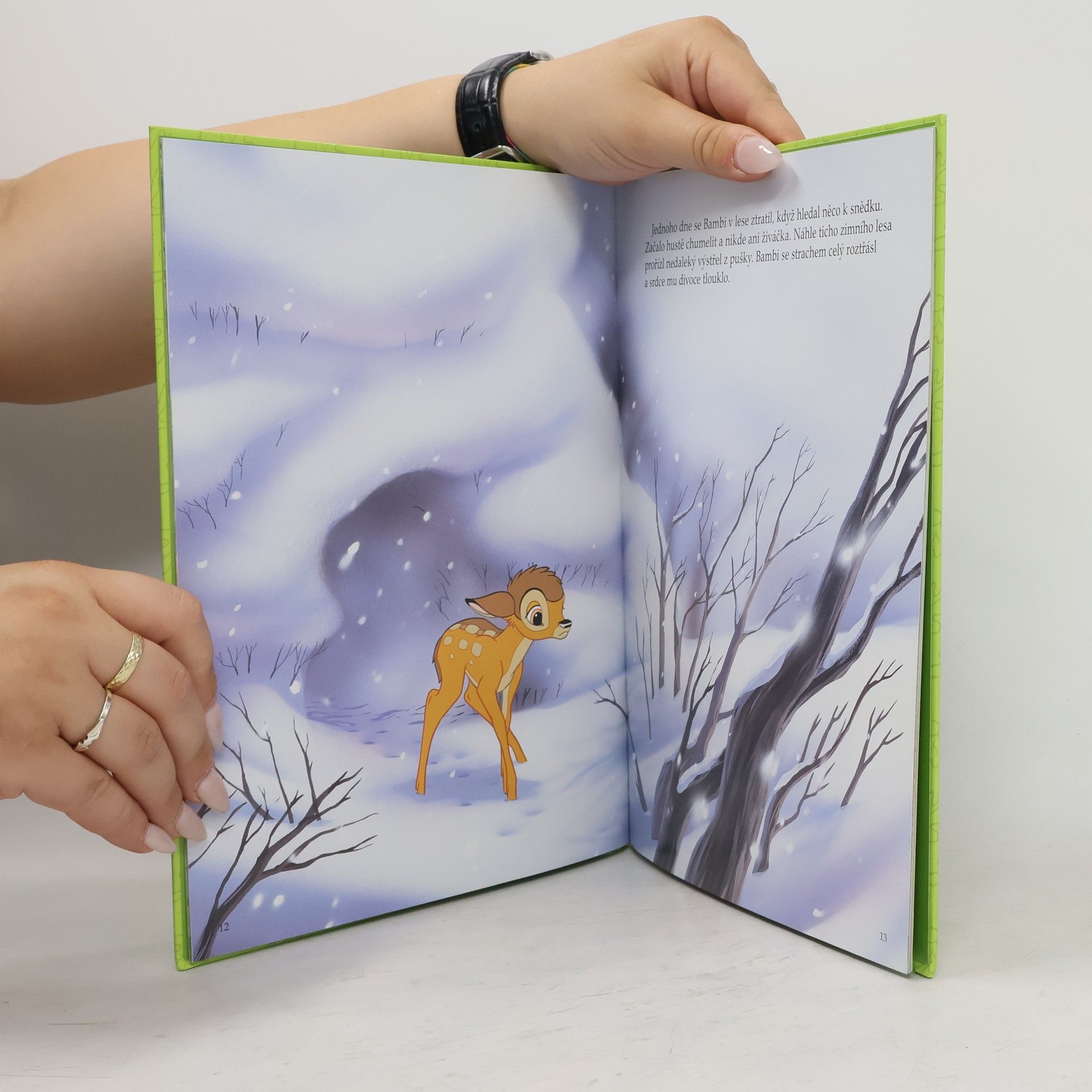 Kolektiv autorů Bambi
