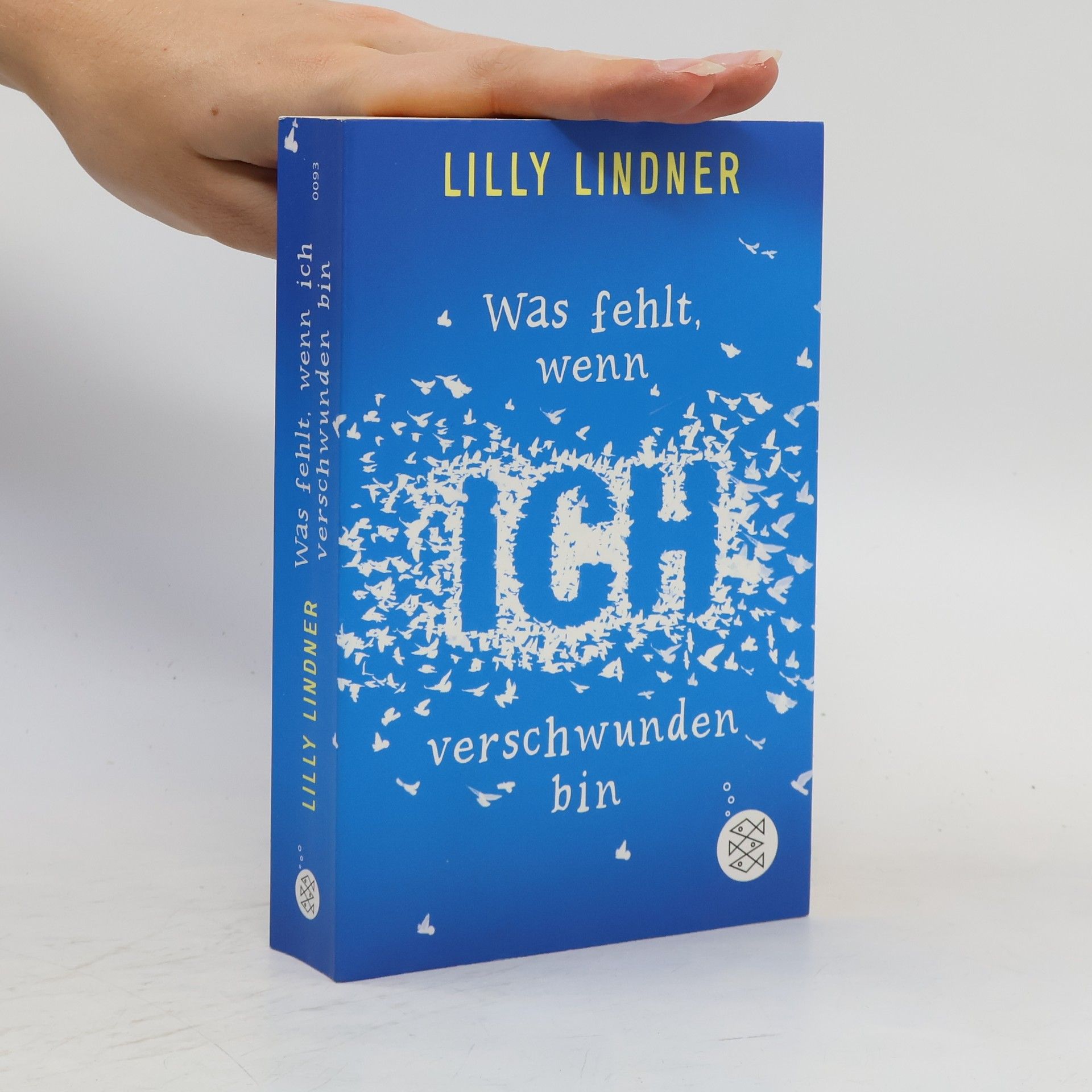 Lilly Lindner Was fehlt, wenn ich verschwunden bin