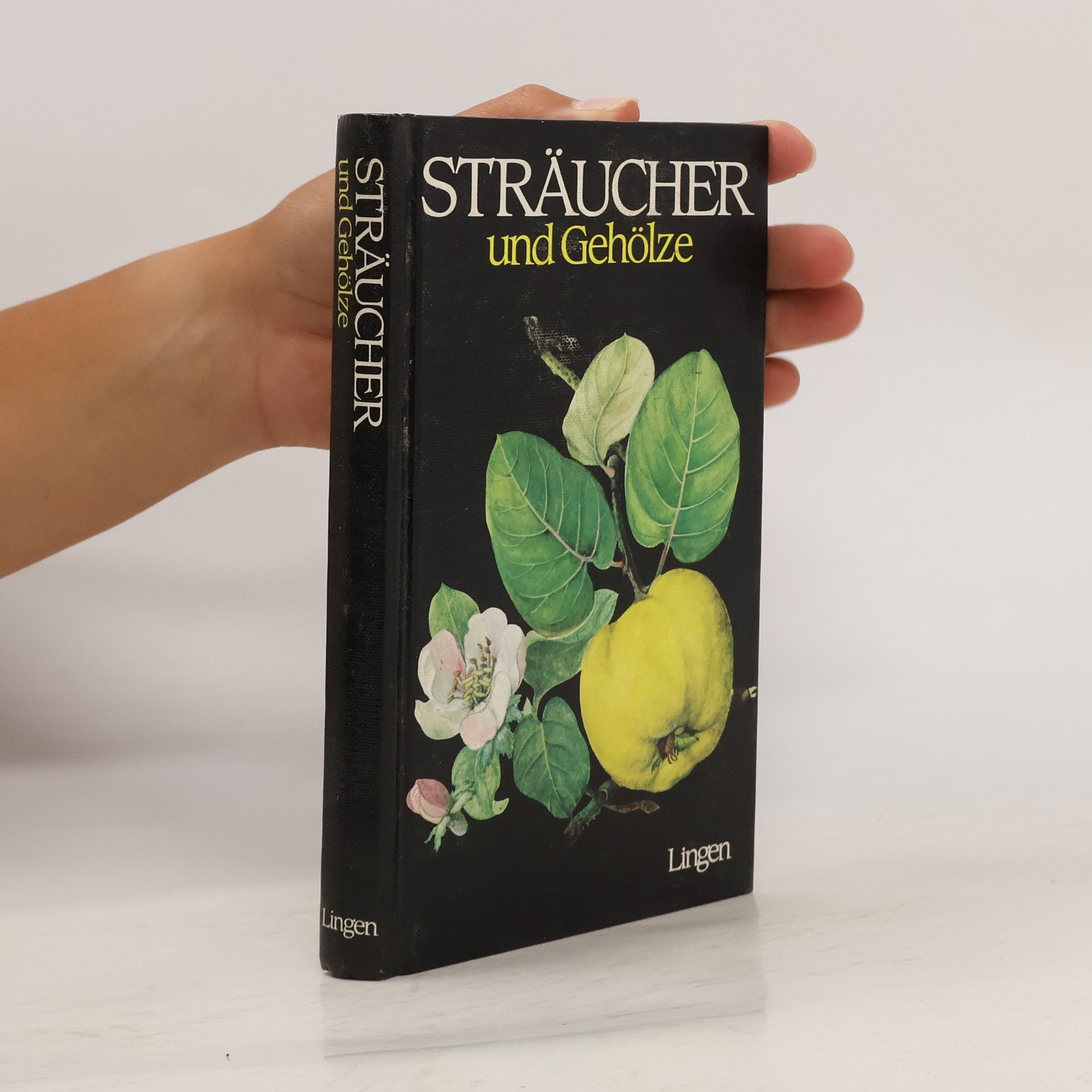 kolektiv Sträucher und Gehölze