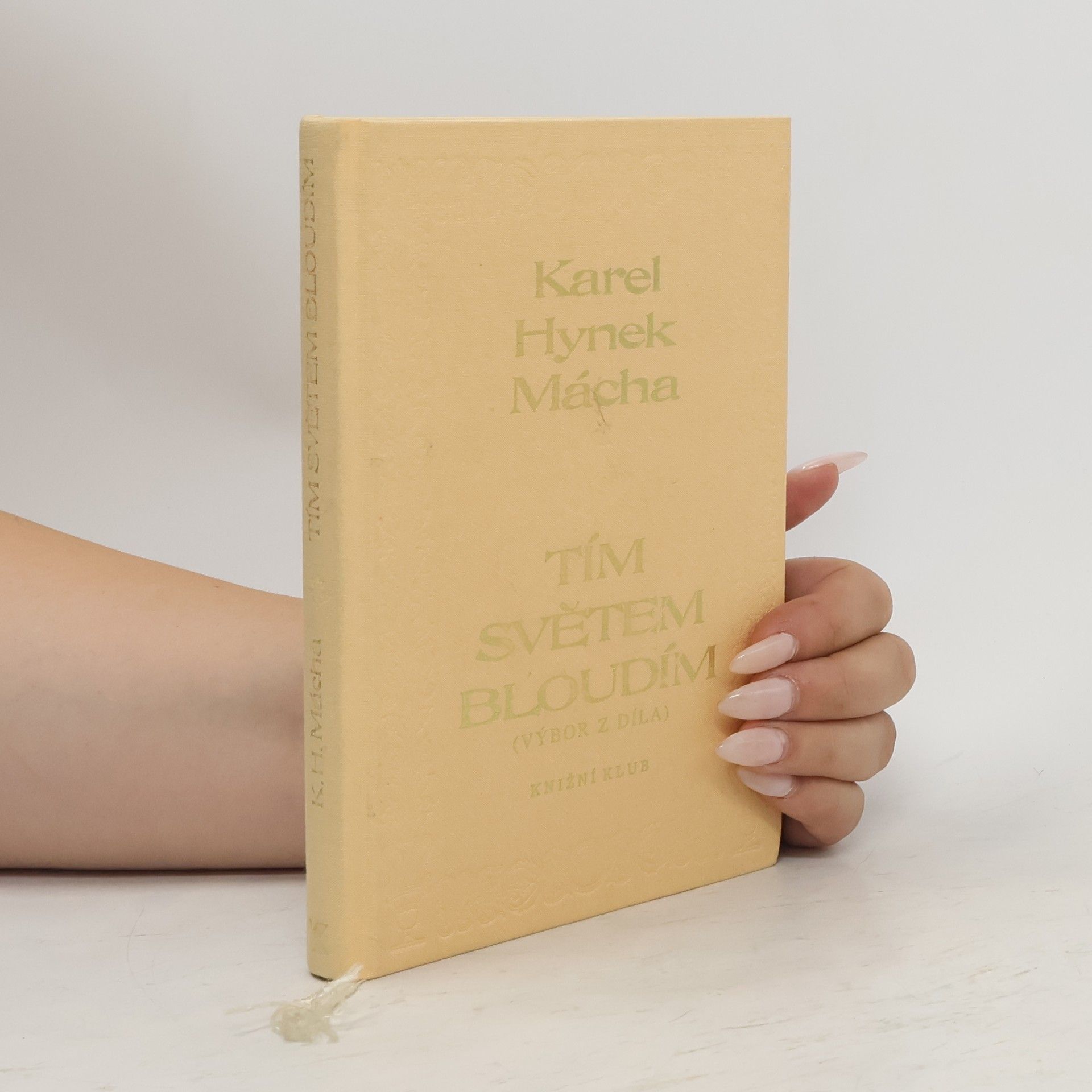Karel Hynek Mácha Tím světem bloudím