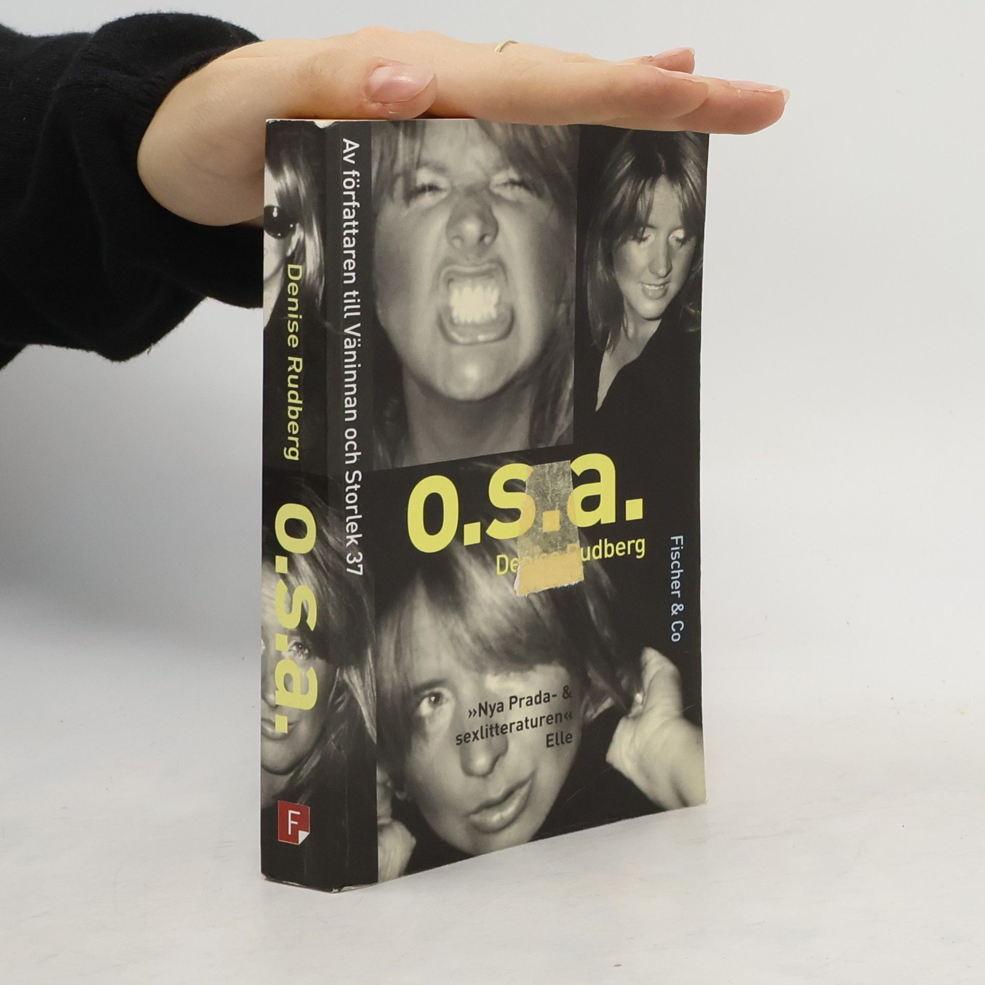 Denise Rudberg O.s.a